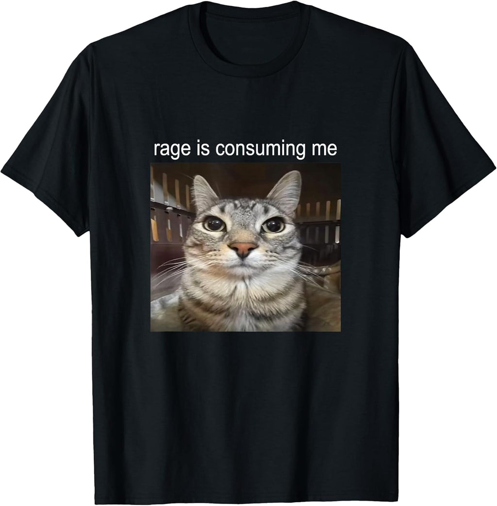 Rage is Consuming Me Silly Staring Cat Meme T-Shirt