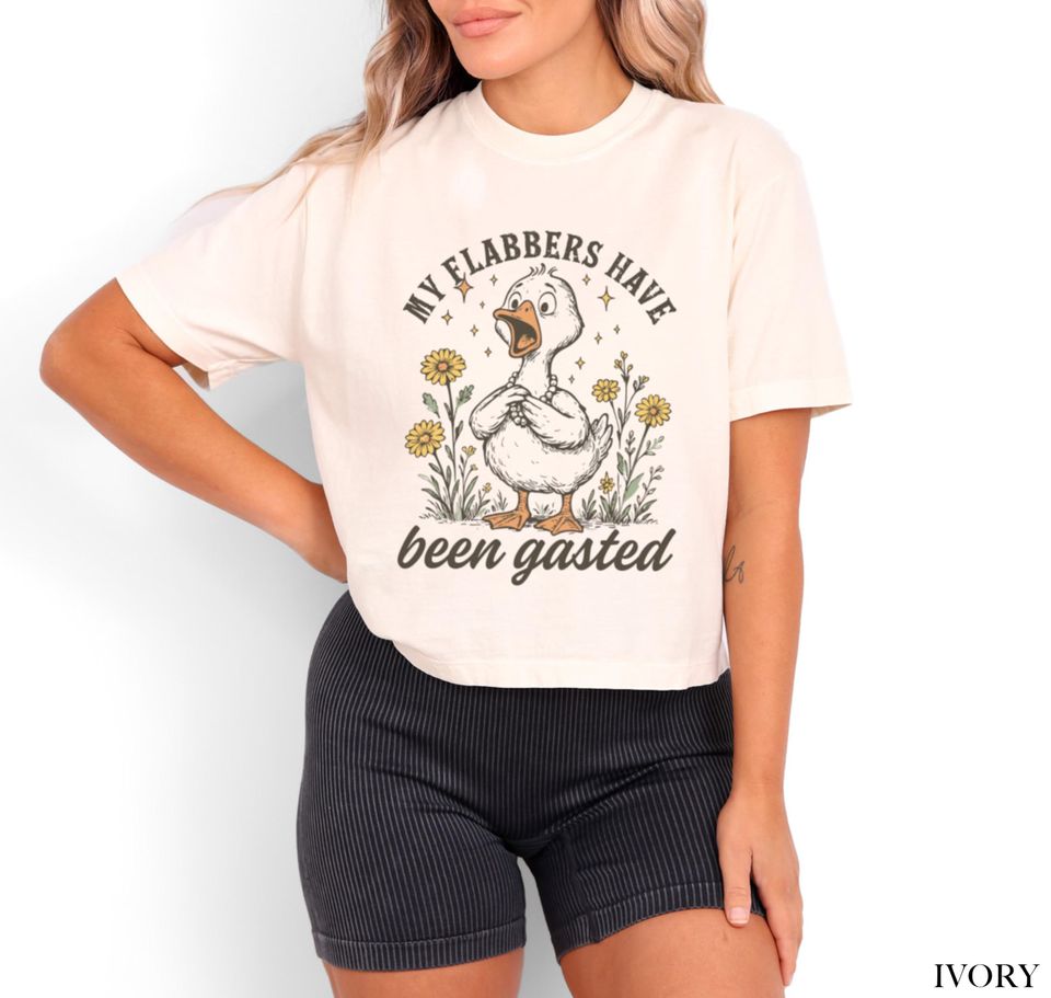 Funny Goose Boxy Tee, My Flabbers Have Been Gasted Boxy Tee
