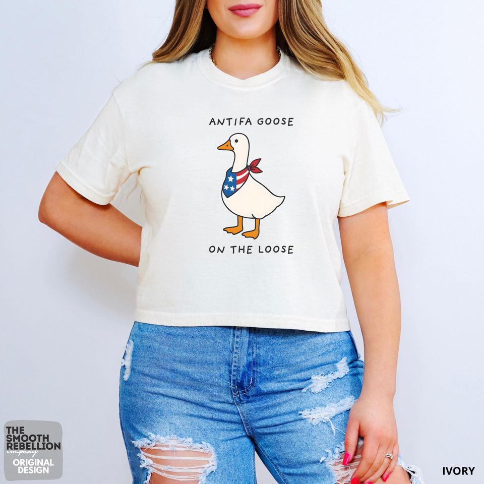 Anti Fascist Boxy Tee, Silly Goose, Anti ICE Boxy Tee, Resistance Boxy Tee