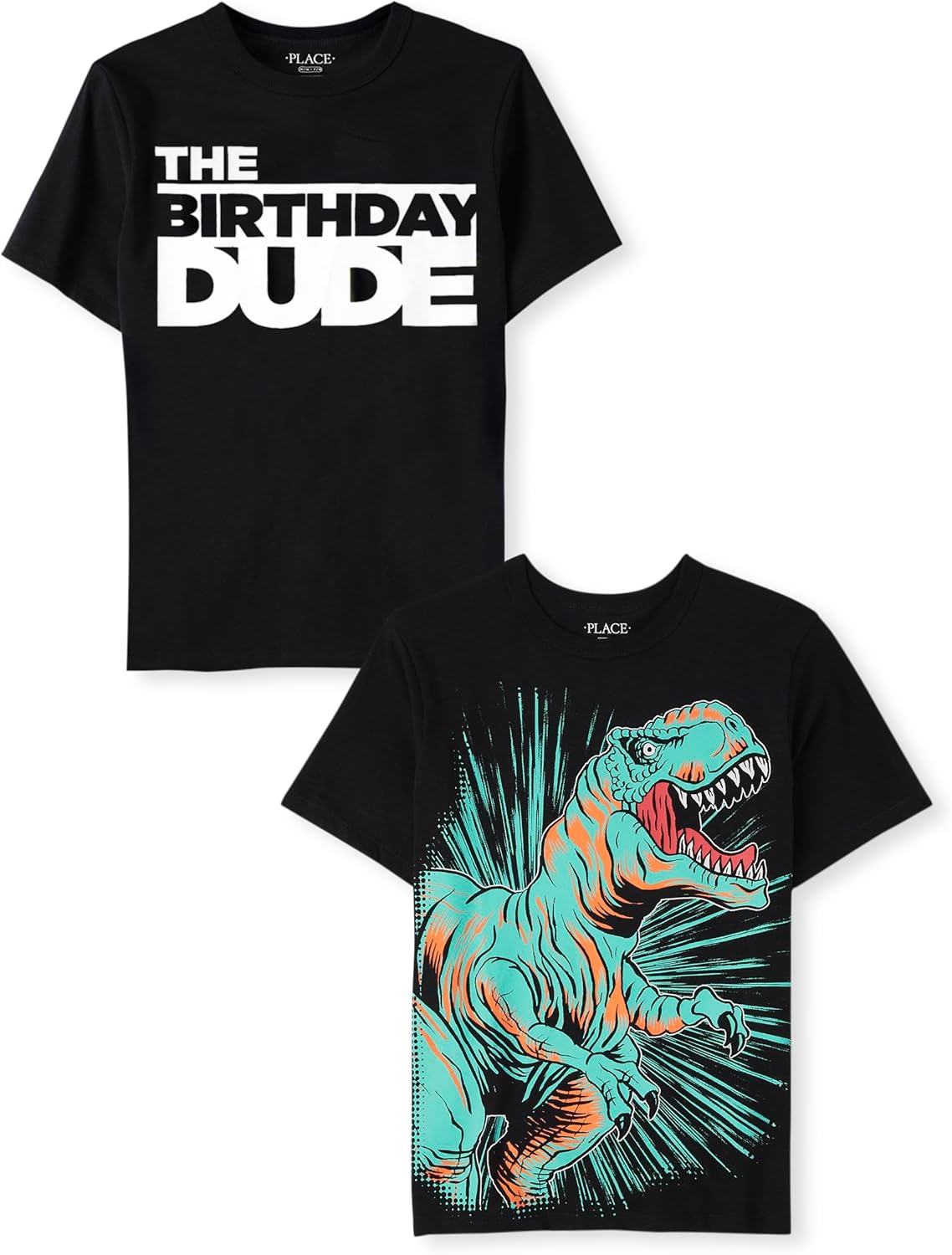 Boys' All Holidays,Birthdays Short Sleeve Graphic T-Shirts,2 Pack