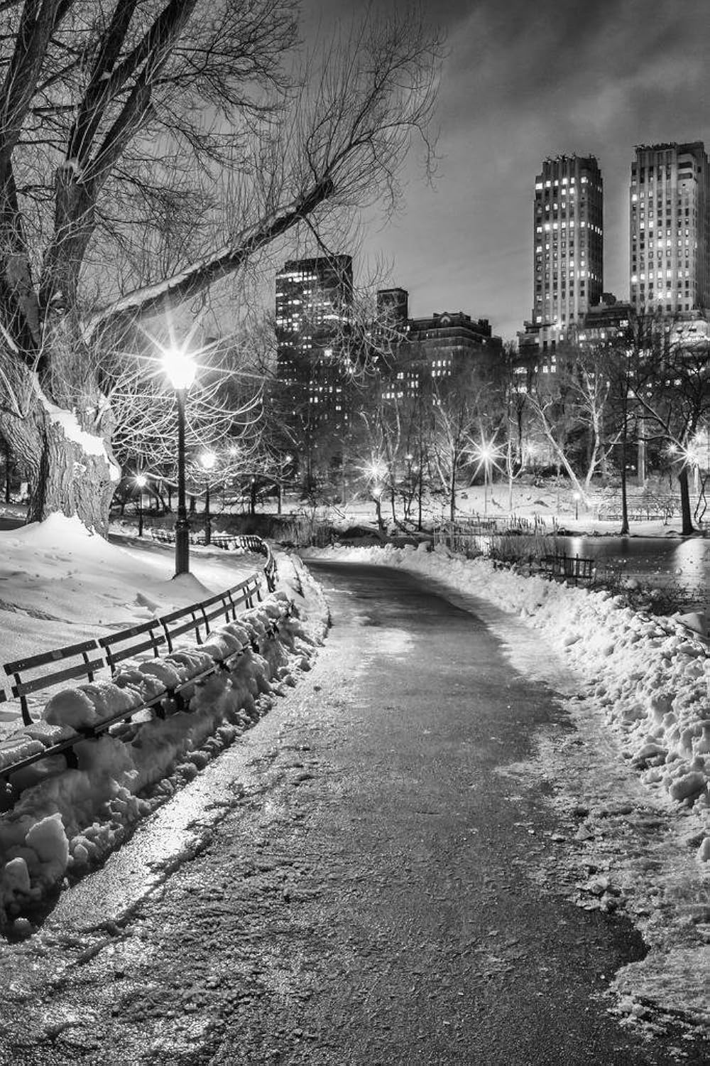 Central Park New York City NYC Wintery Path B&W Photo Photograph Cool Wall Art Print Poster 24x36
