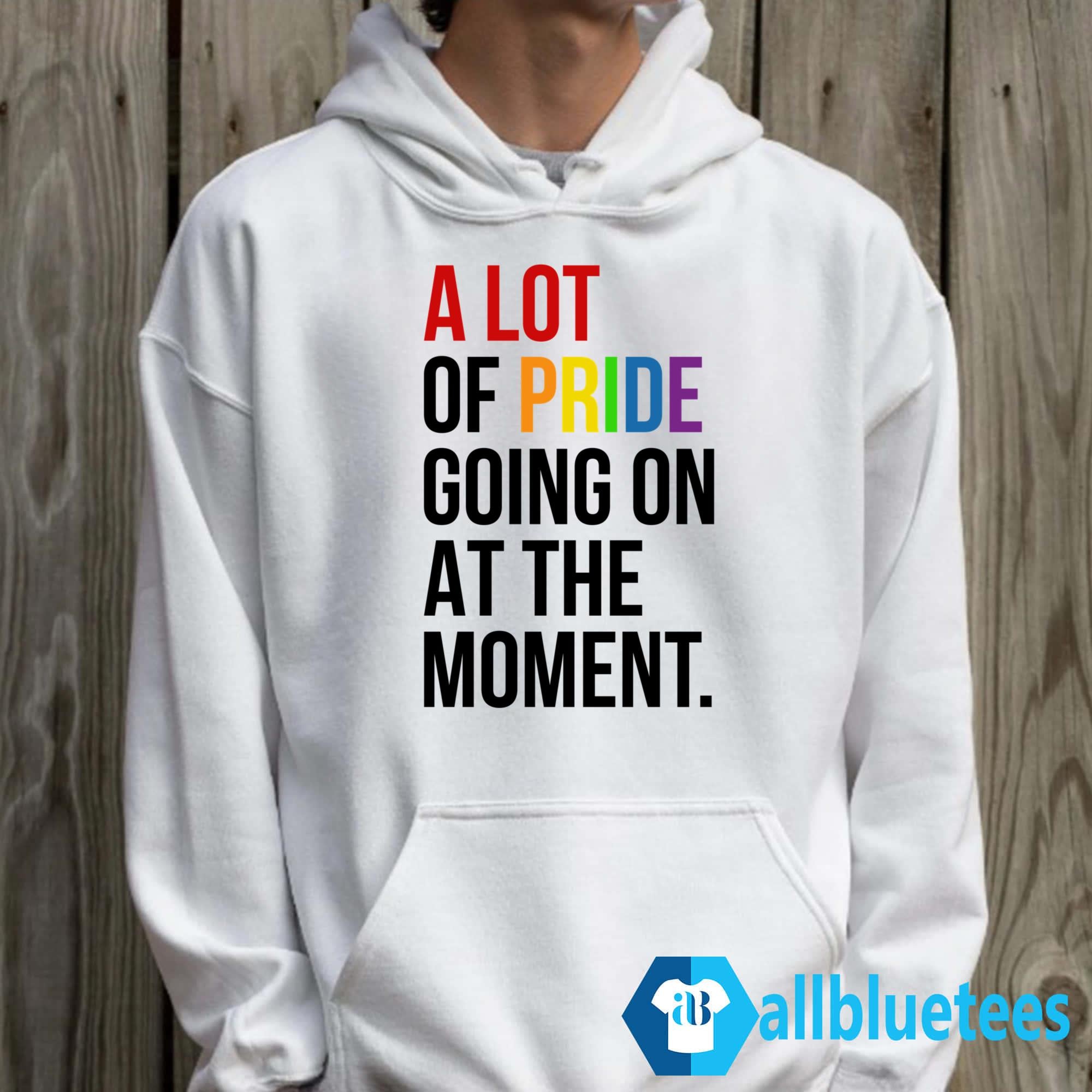 A Lot Of Pride Going On At The Moment Shirt