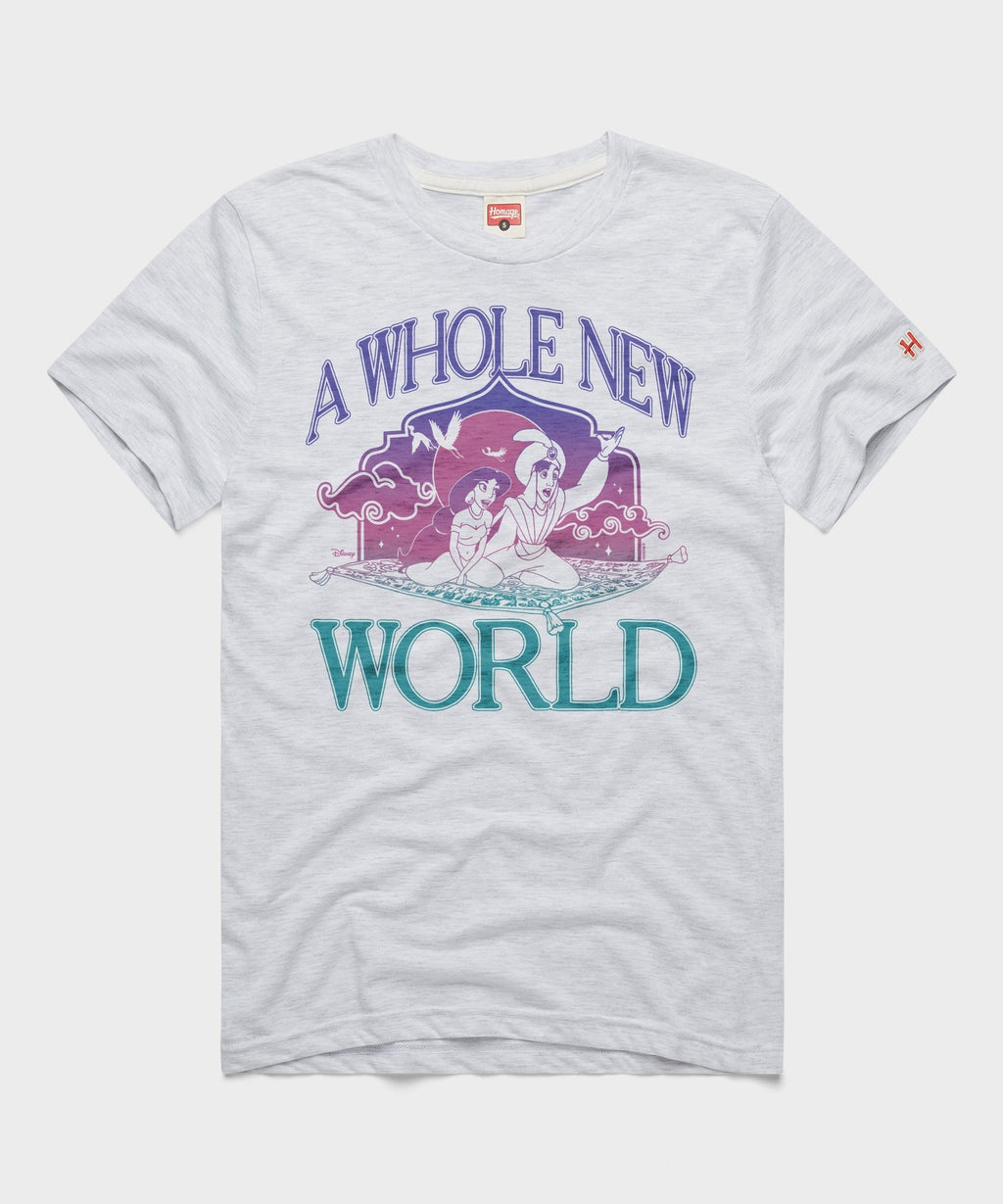 Aladdin A Whole New World
