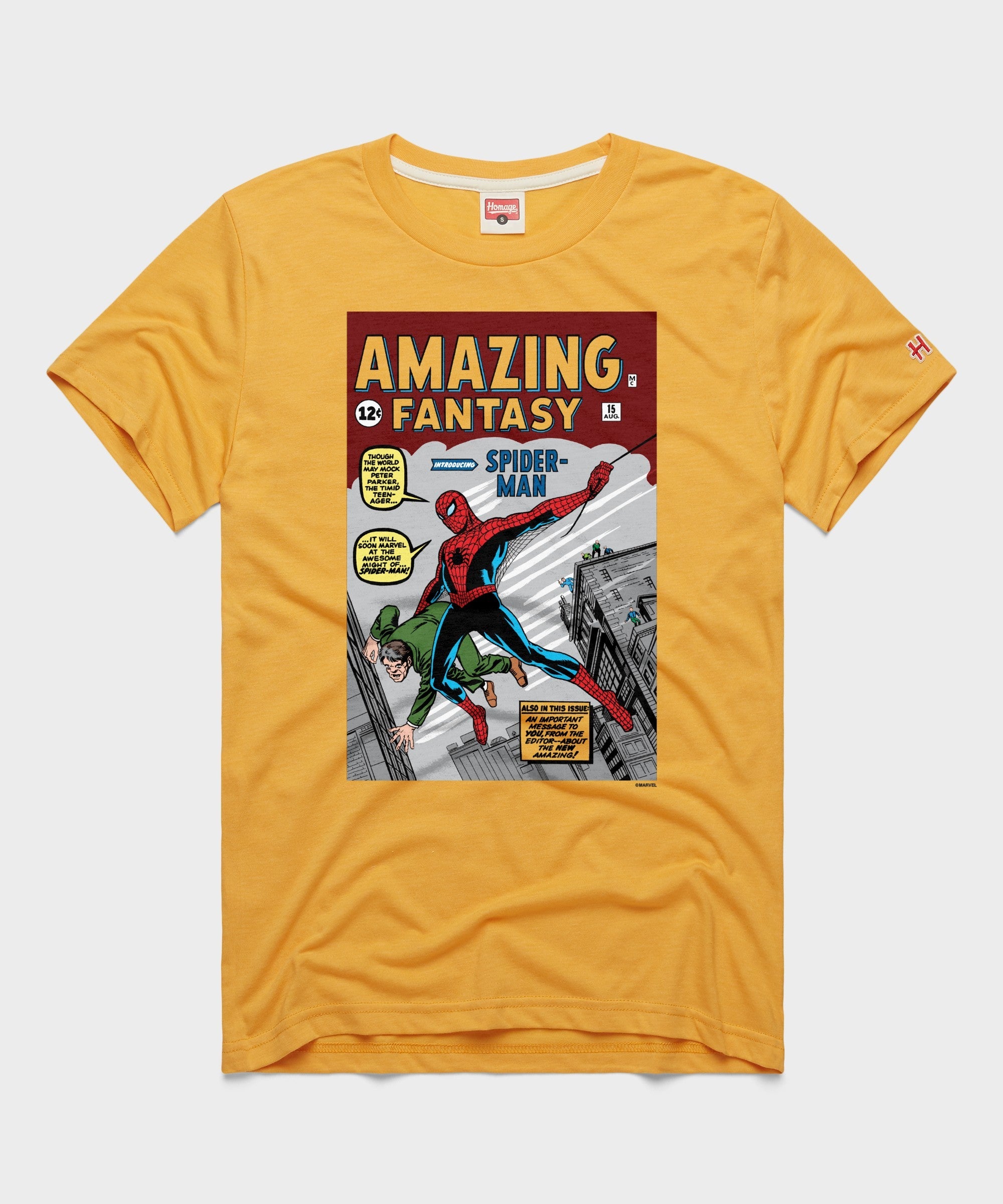 Amazing Fantasy Issue #15