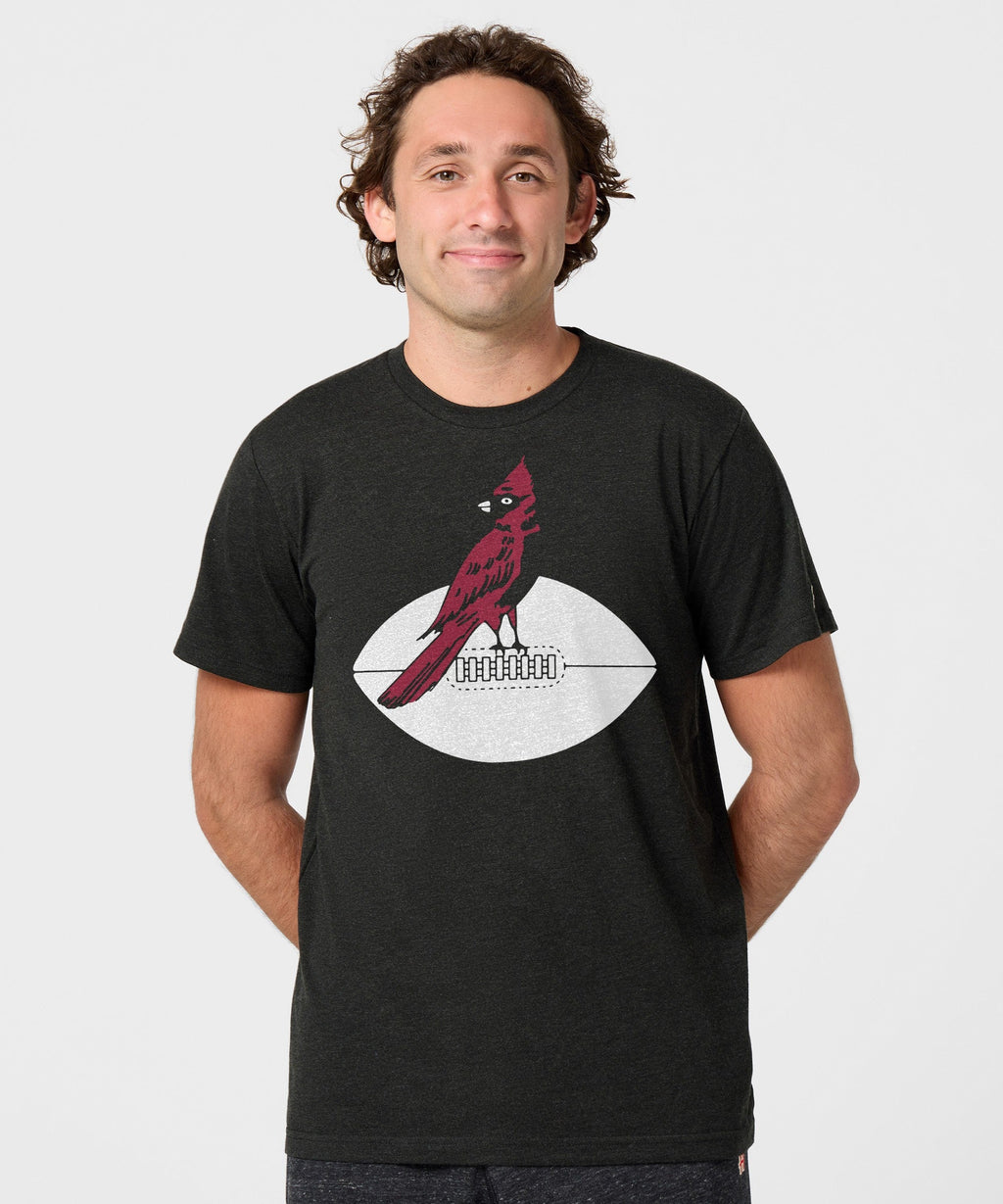 Arizona Cardinals '47