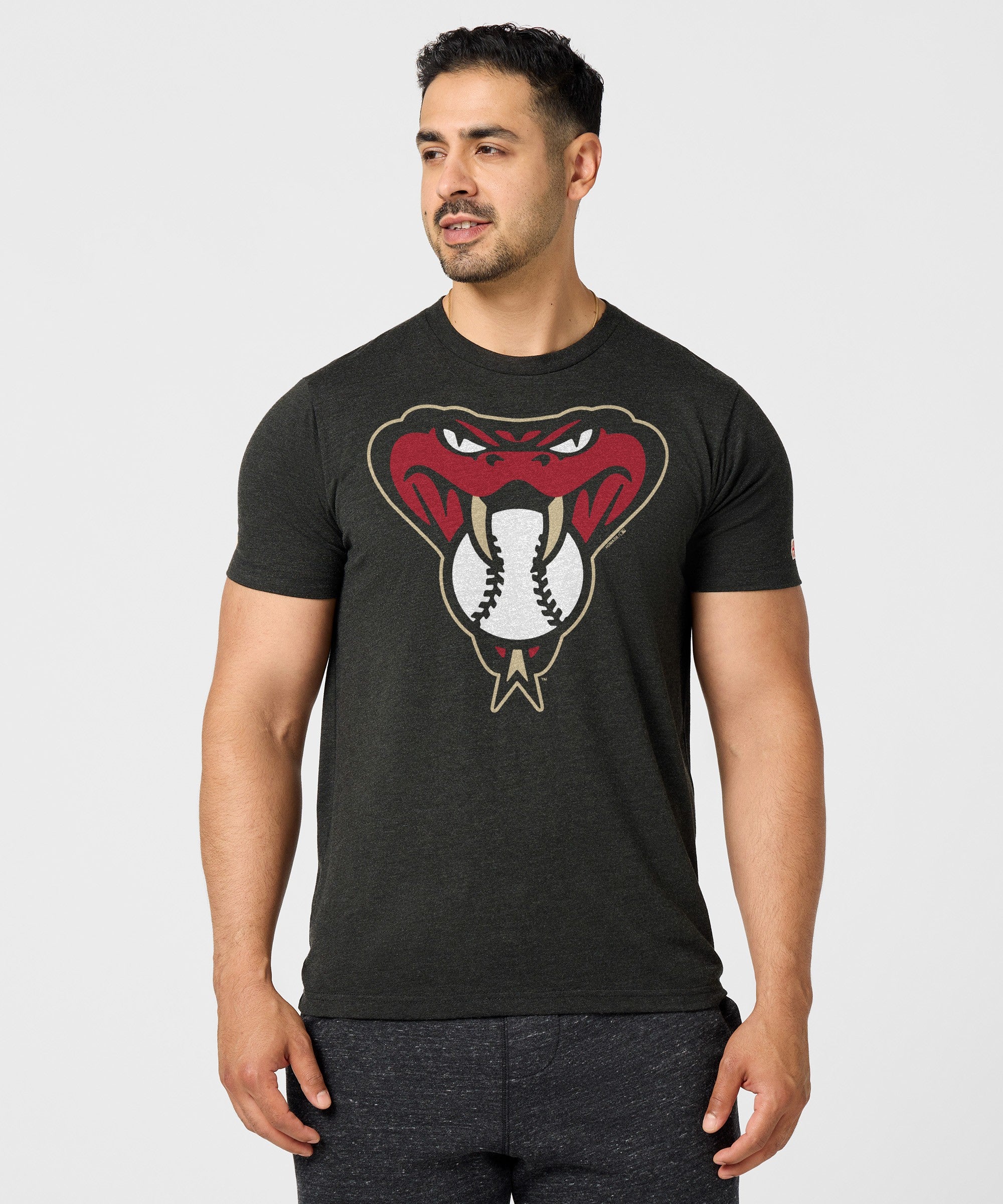 Arizona Diamondbacks Alt Logo '16