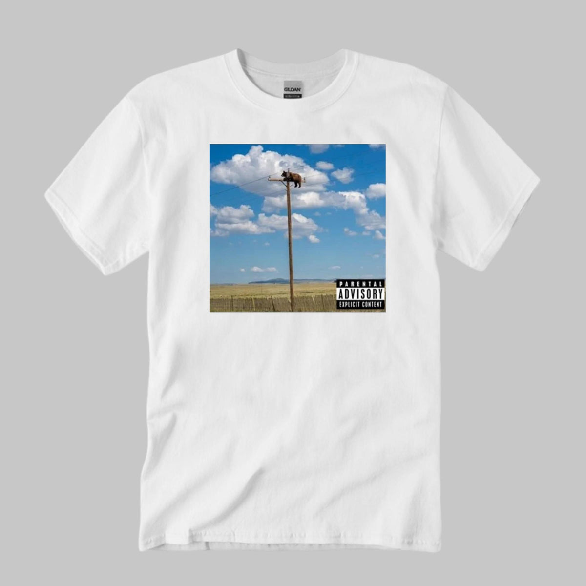 Bear On Top Of The Light Pole Shirt