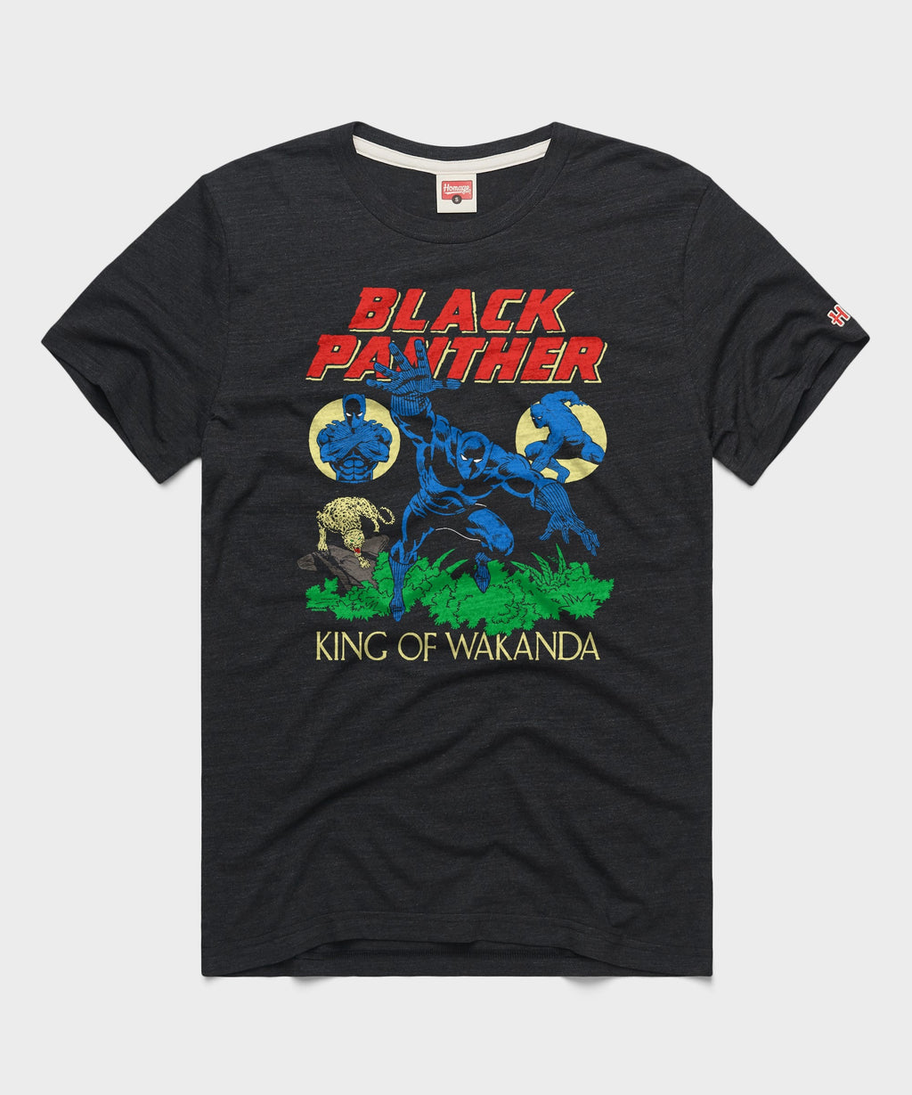 Black Panther The King Of Wakanda