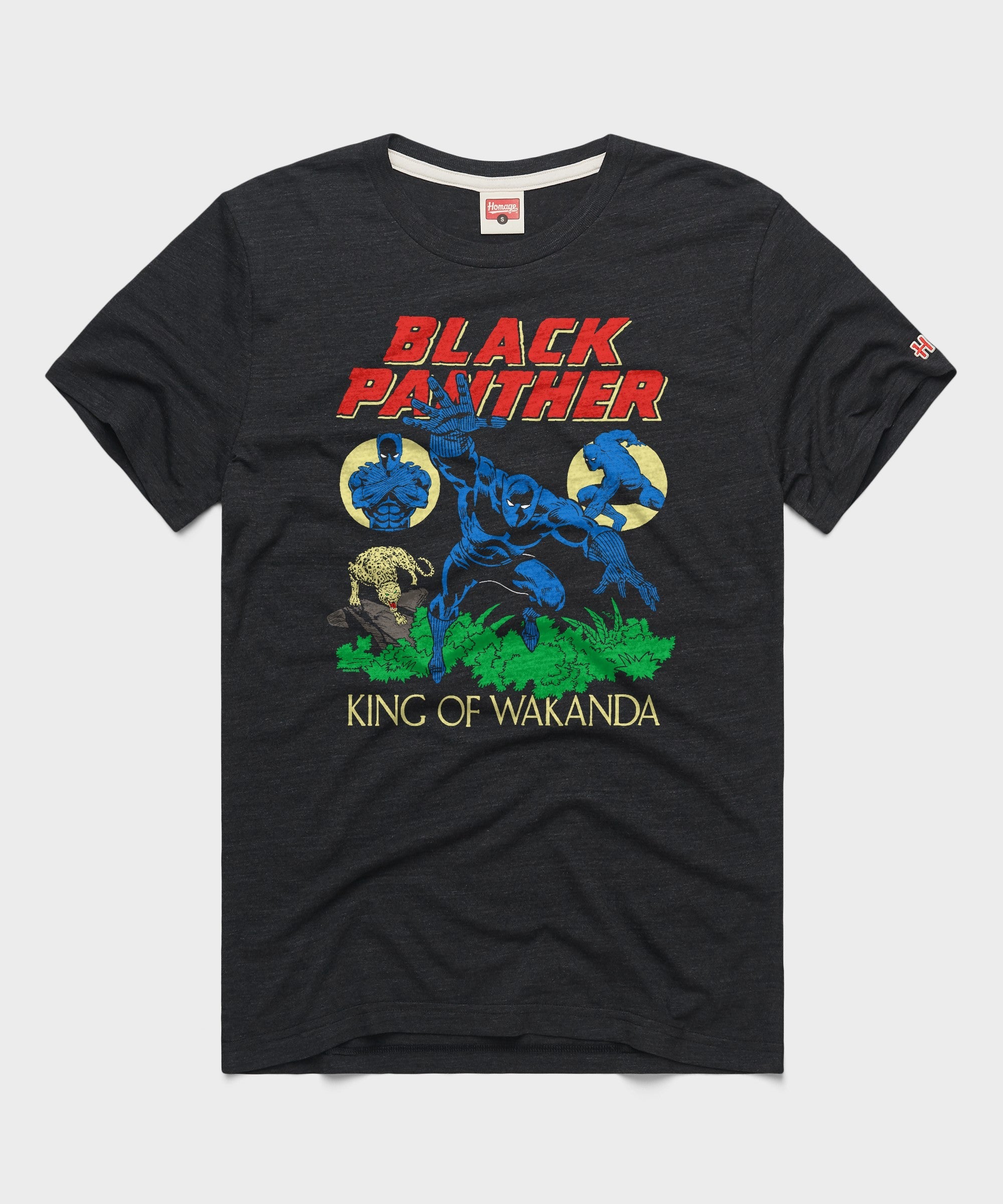 Black Panther The King Of Wakanda