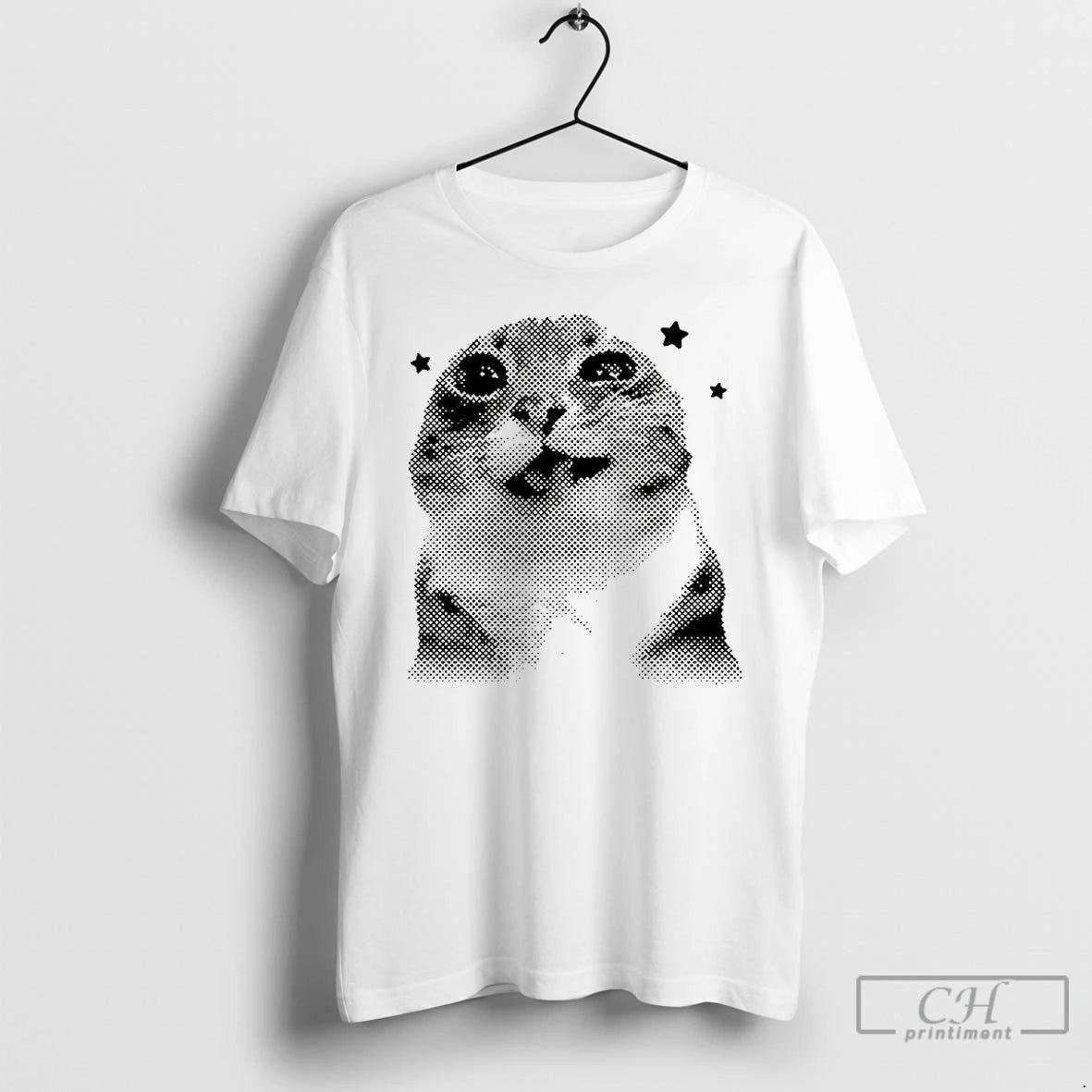 Classic Rigby Cat Star Meme Retro T Shirts Hoodie Sweatshirt | PurePodTees.com