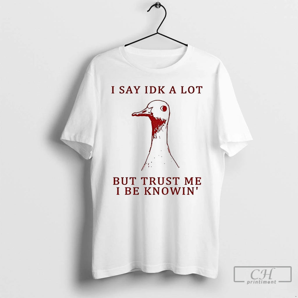 Classic Silly Goose Understands Everything I Say Idk A Lot But Trust Me I Be Shirt Hoodie Sweatshirt | PurePodTees.com