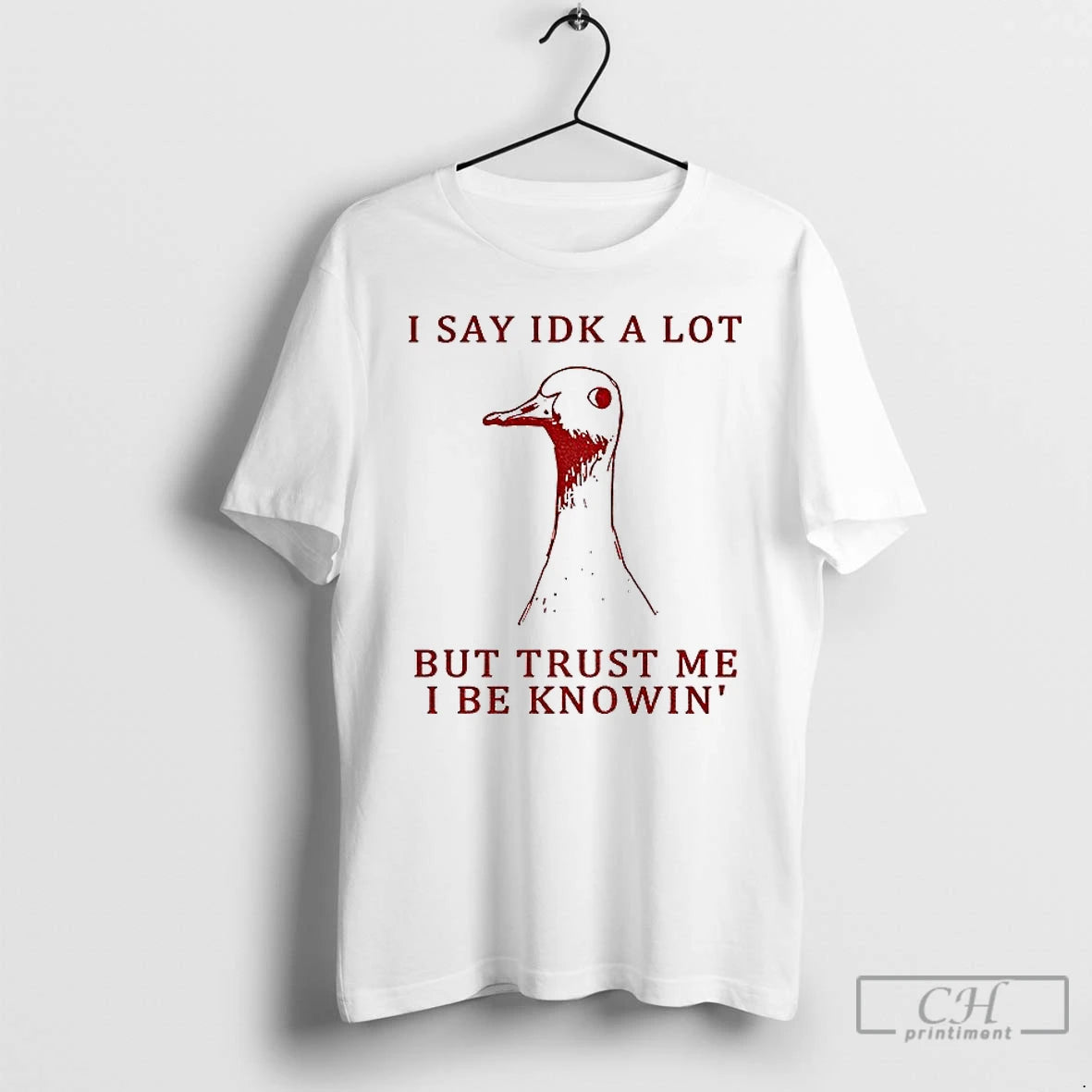 Classic Silly Goose Understands Everything I Say Idk A Lot But Trust Me I Be Shirt Hoodie Sweatshirt | PurePodTees.com