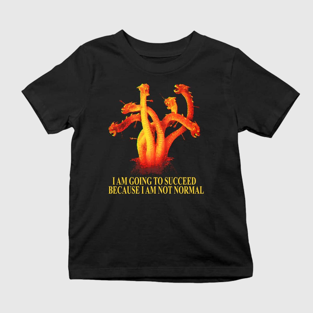 Dragon I Am Going To Succeed Because I Am Not Normal Shirt