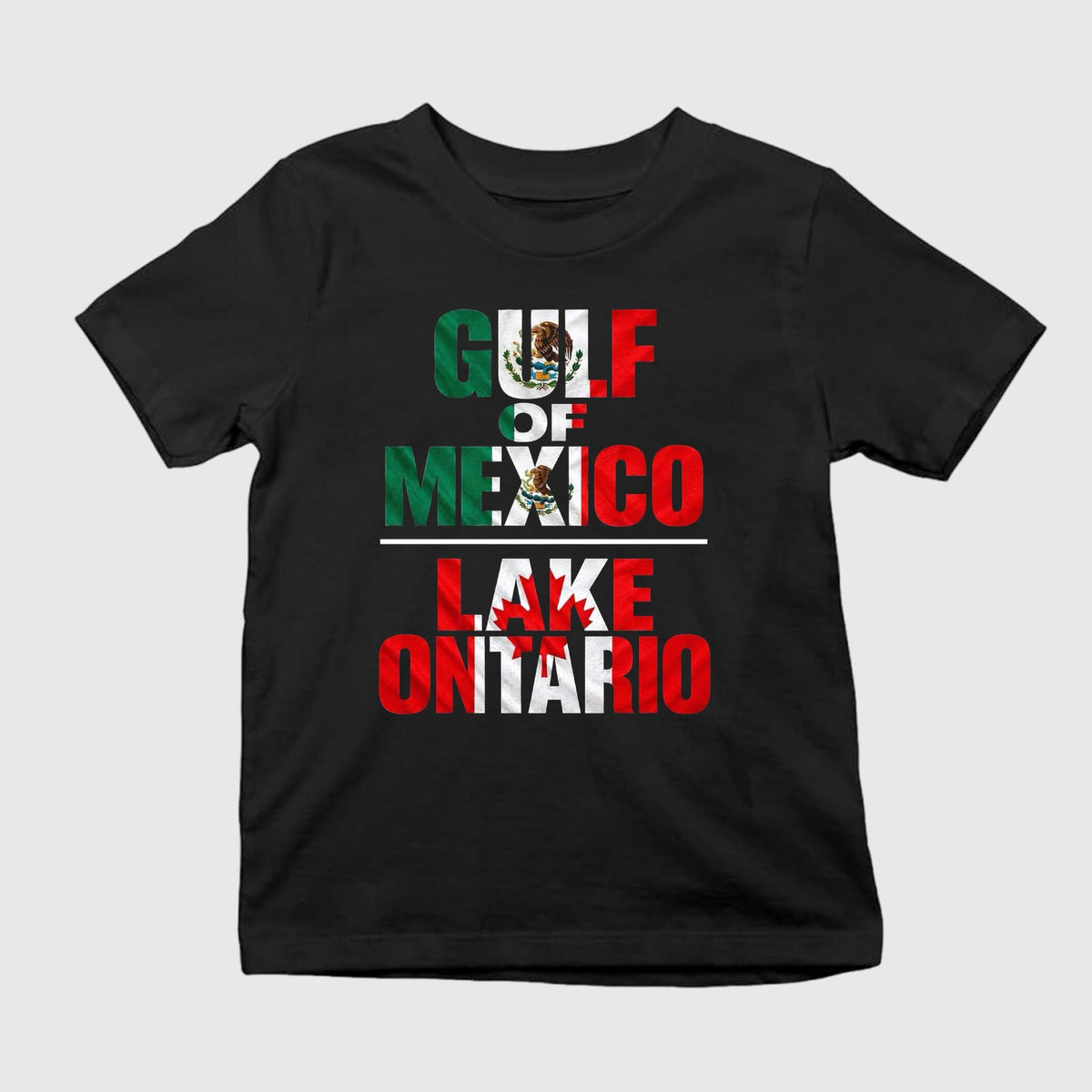 Gulf Of Mexico Lake Ontario Shirt