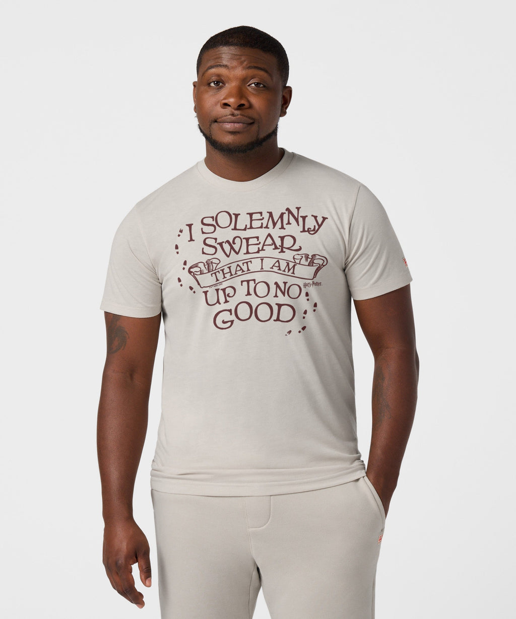 I Solemnly Swear That I Am Up To No Good