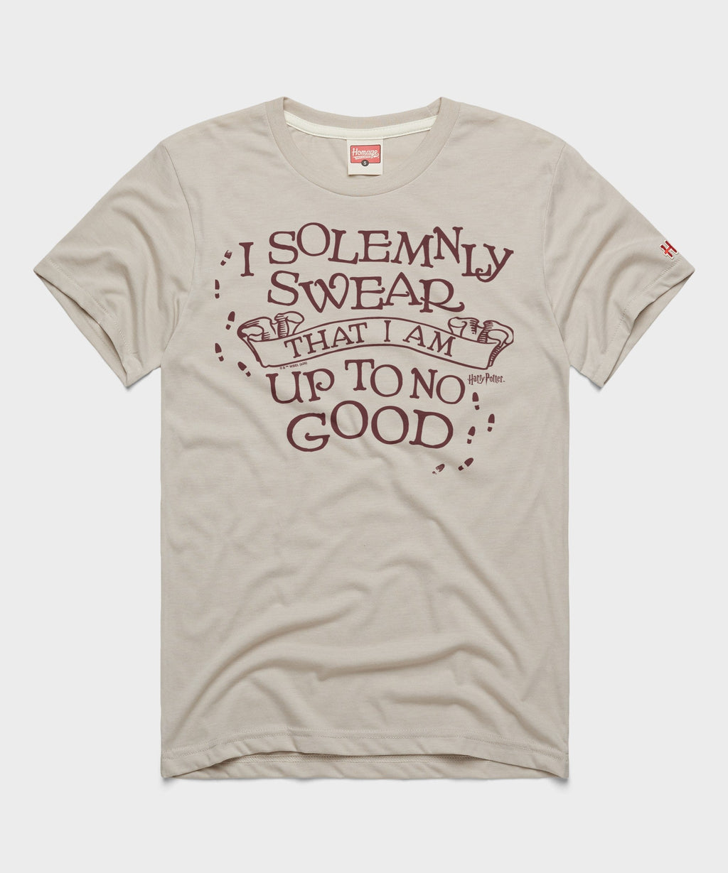 I Solemnly Swear That I Am Up To No Good