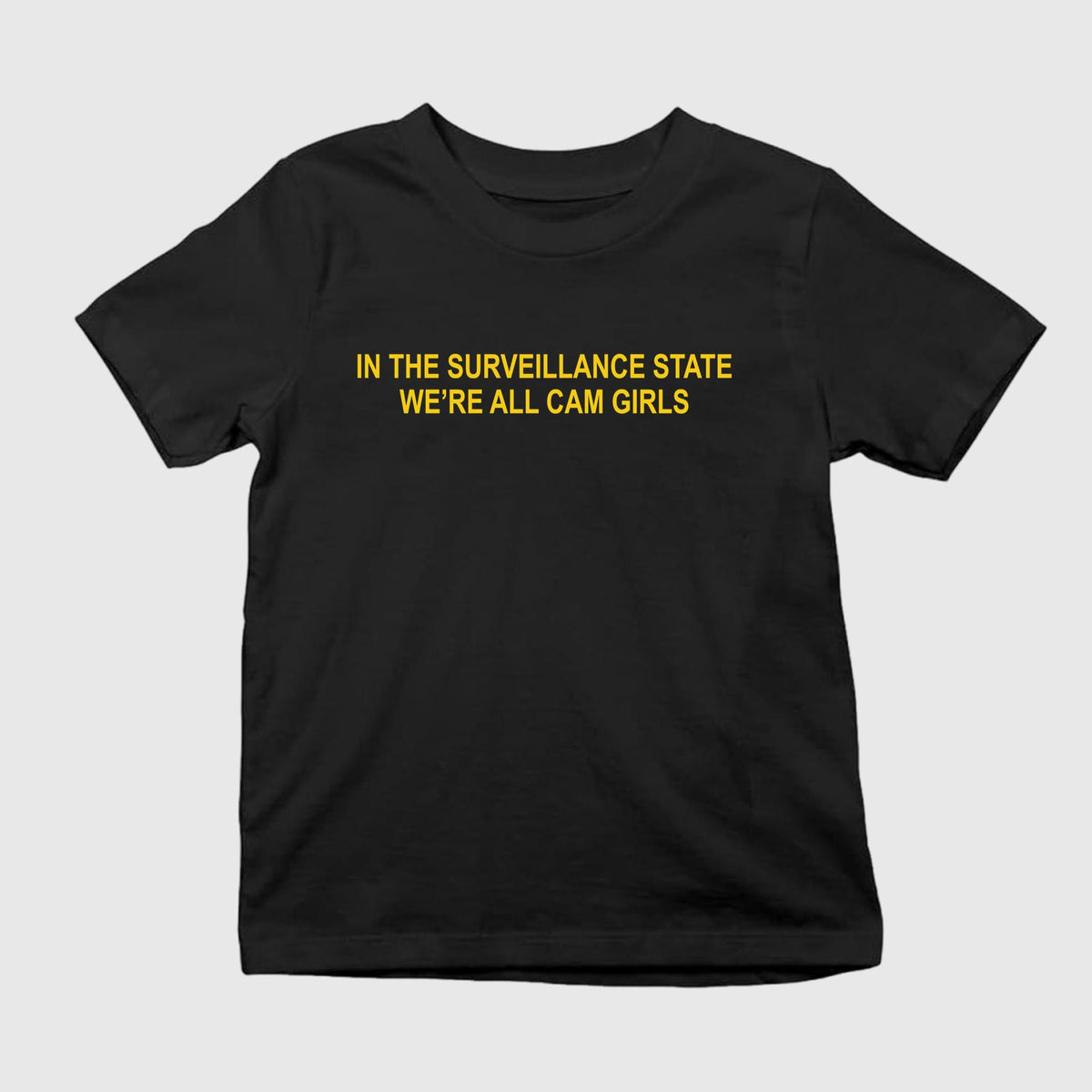 In The Surveillance State We’re All Cam Girls T-Shirt