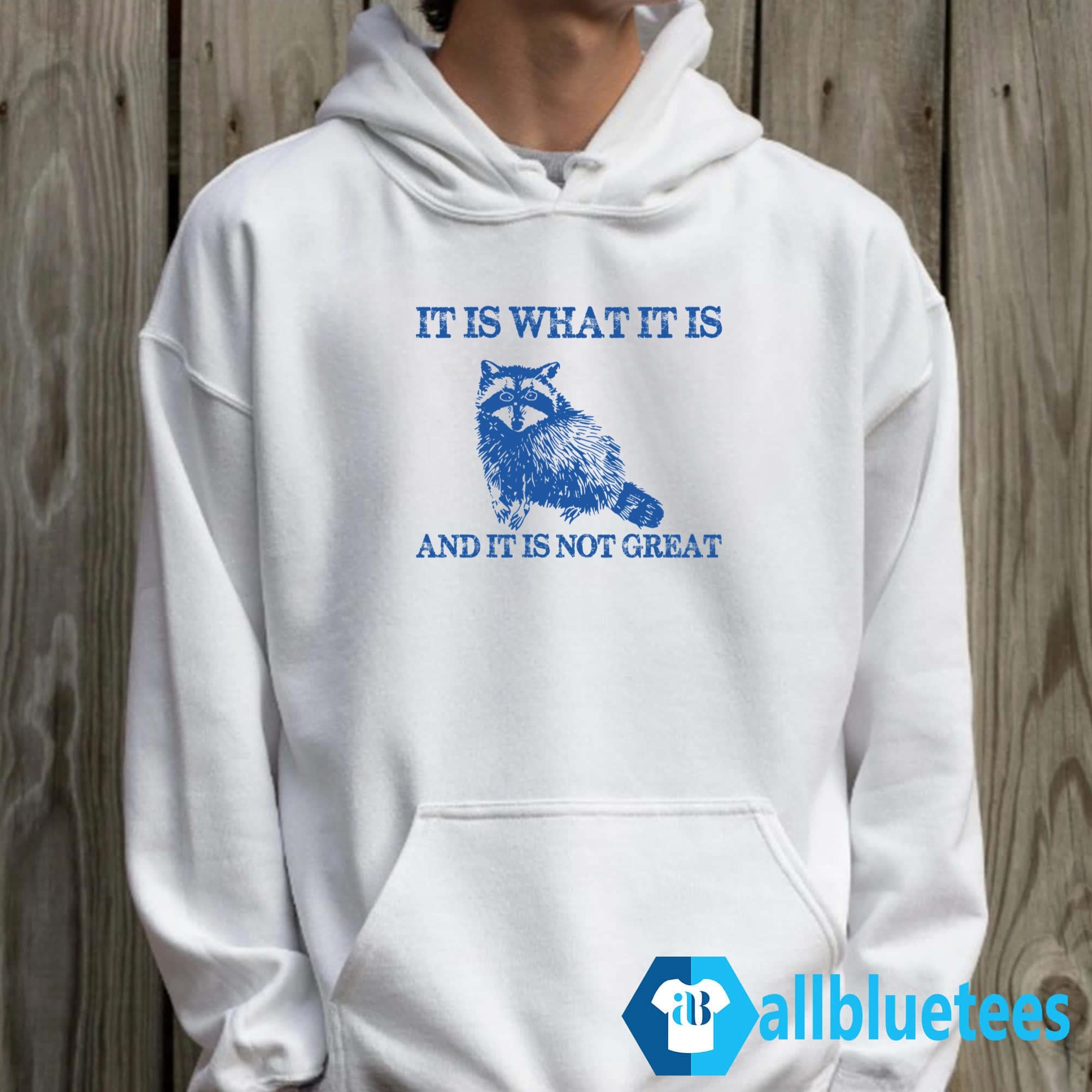 It Is What It Is And It Is Not Great Shirt