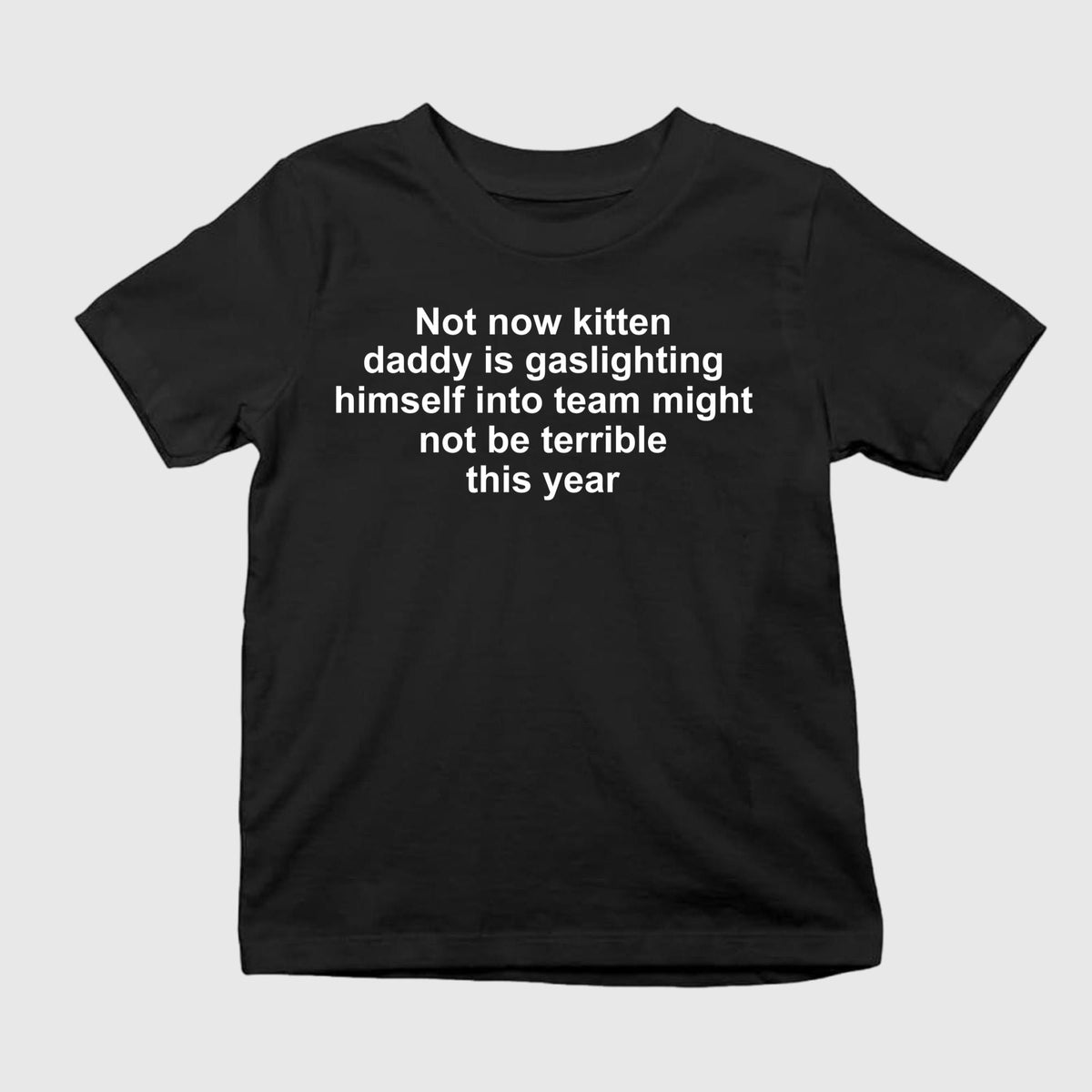 Not Now Kitten Daddy Is Gaslighting Himself Into Believing That His Team Might Shirt
