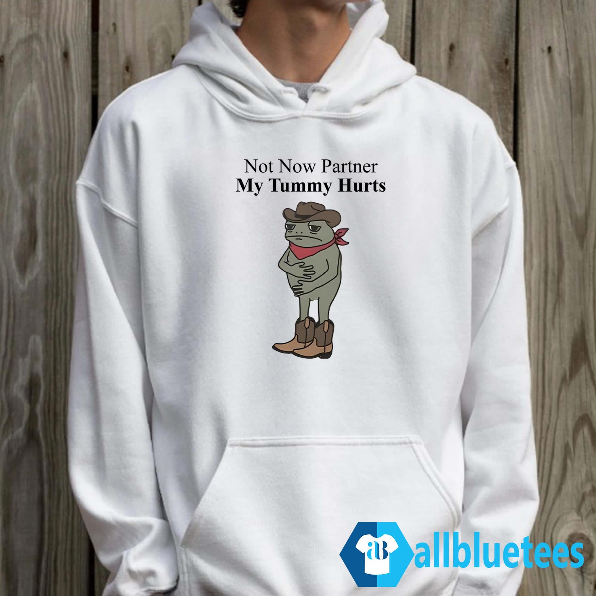 Not Now Partner My Tummy Hurts Shirt