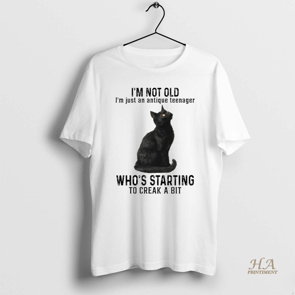 Official Cat Im Not Old Im Just An Antique Teenager Whos Starting Shirt Hoodie Sweatshirt | PurePodTees.com