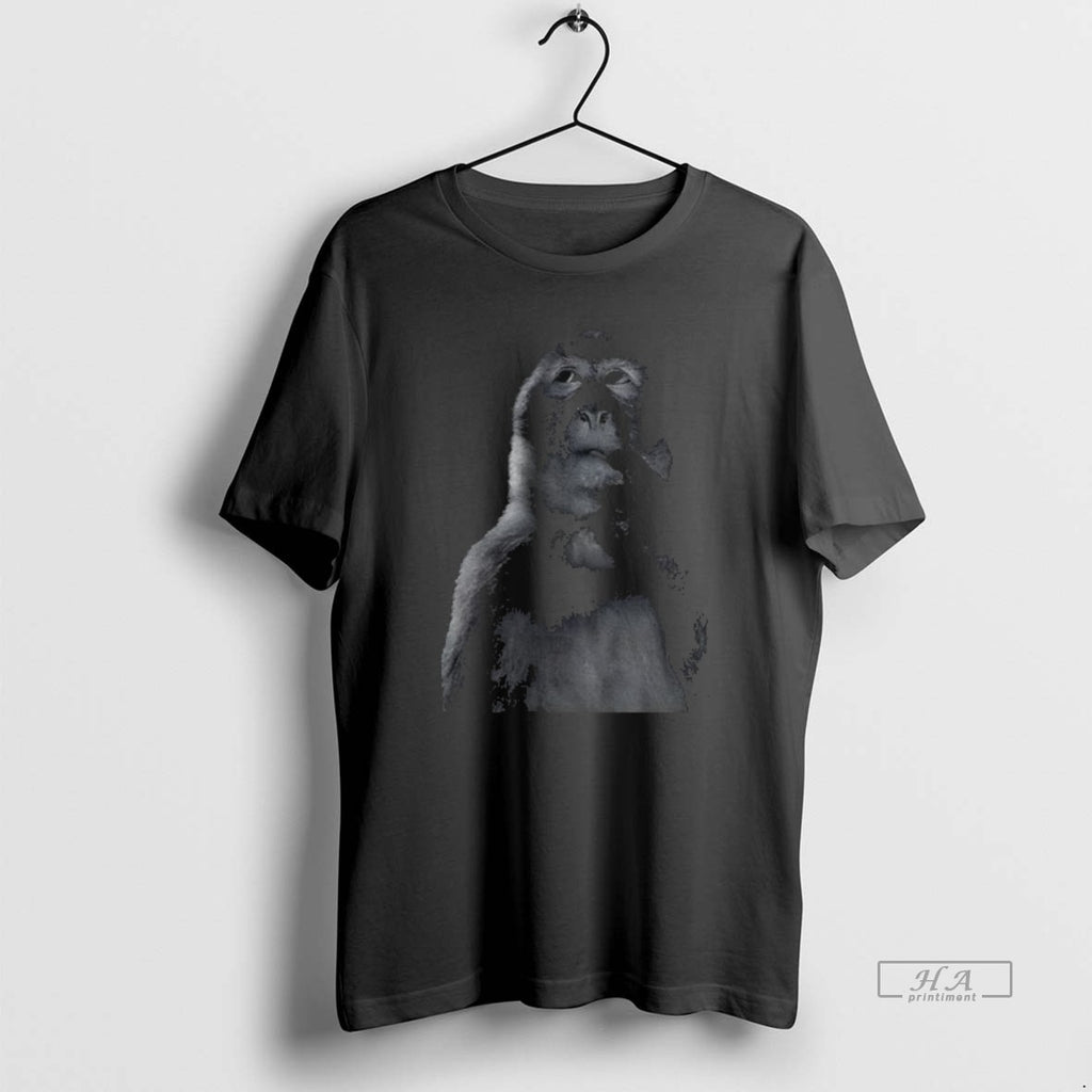 Official Funny Monkey Stupid Meme