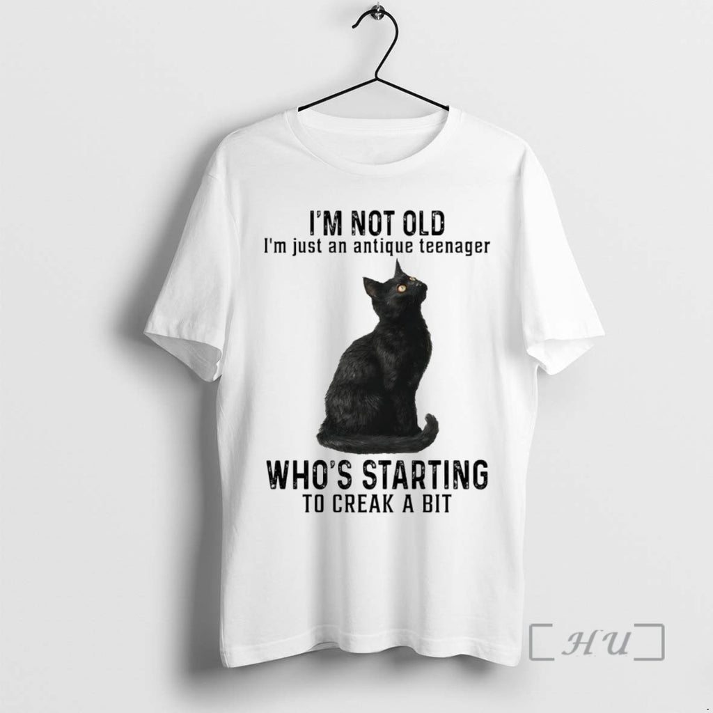 Officials Cat Im Not Old Im Just An Antique Teenager Whos Starting Premium T Shirts Hoodie Sweatshirt | PurePodTees.com