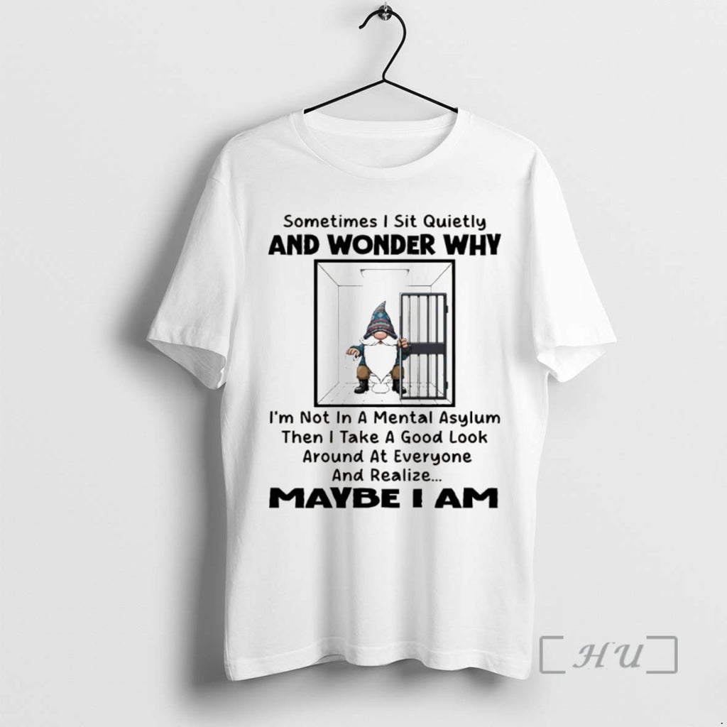 Officials Gnome Sometimes I Sit Quietly And Wonder Why Im Not In A Mental Asylum Shirt Hoodie Sweatshirt | PurePodTees.com
