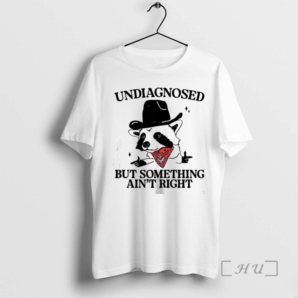 Officials Raccoon Undiagnosed But Something Aint Right T Shirt Sweater