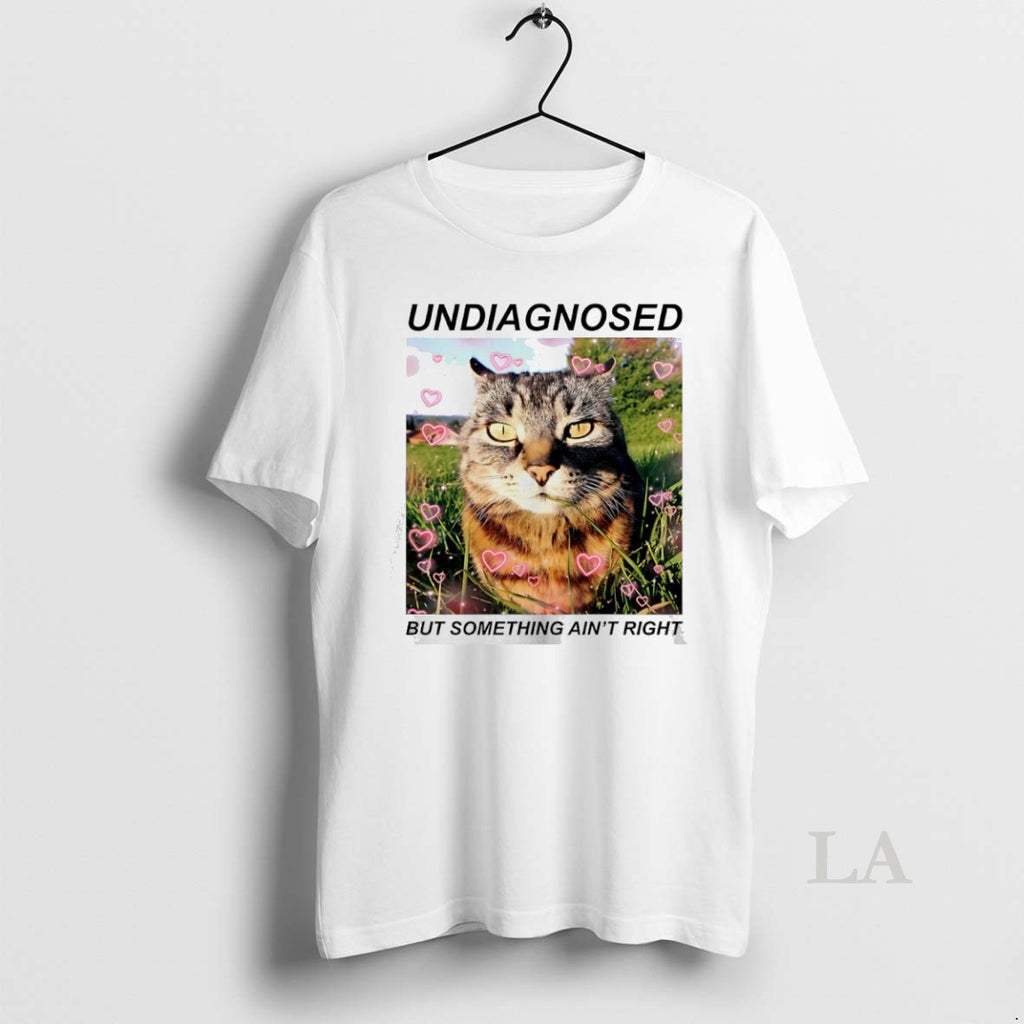 Original Cat Undiagnosed But Something Aint Right