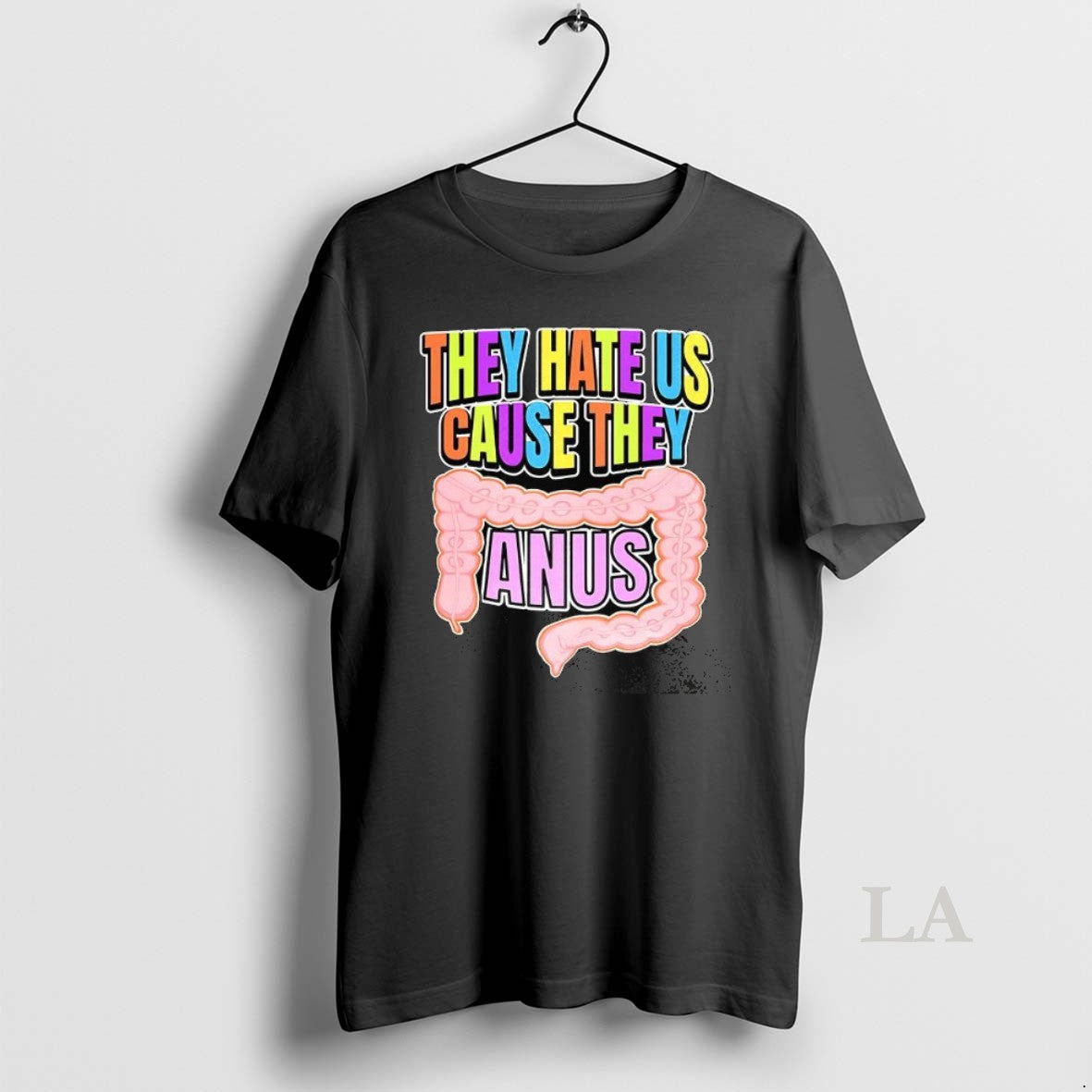 Original They Hate Us Cause They Anus Large Intestine Funny Shirt Hoodie Sweatshirt | PurePodTees.com