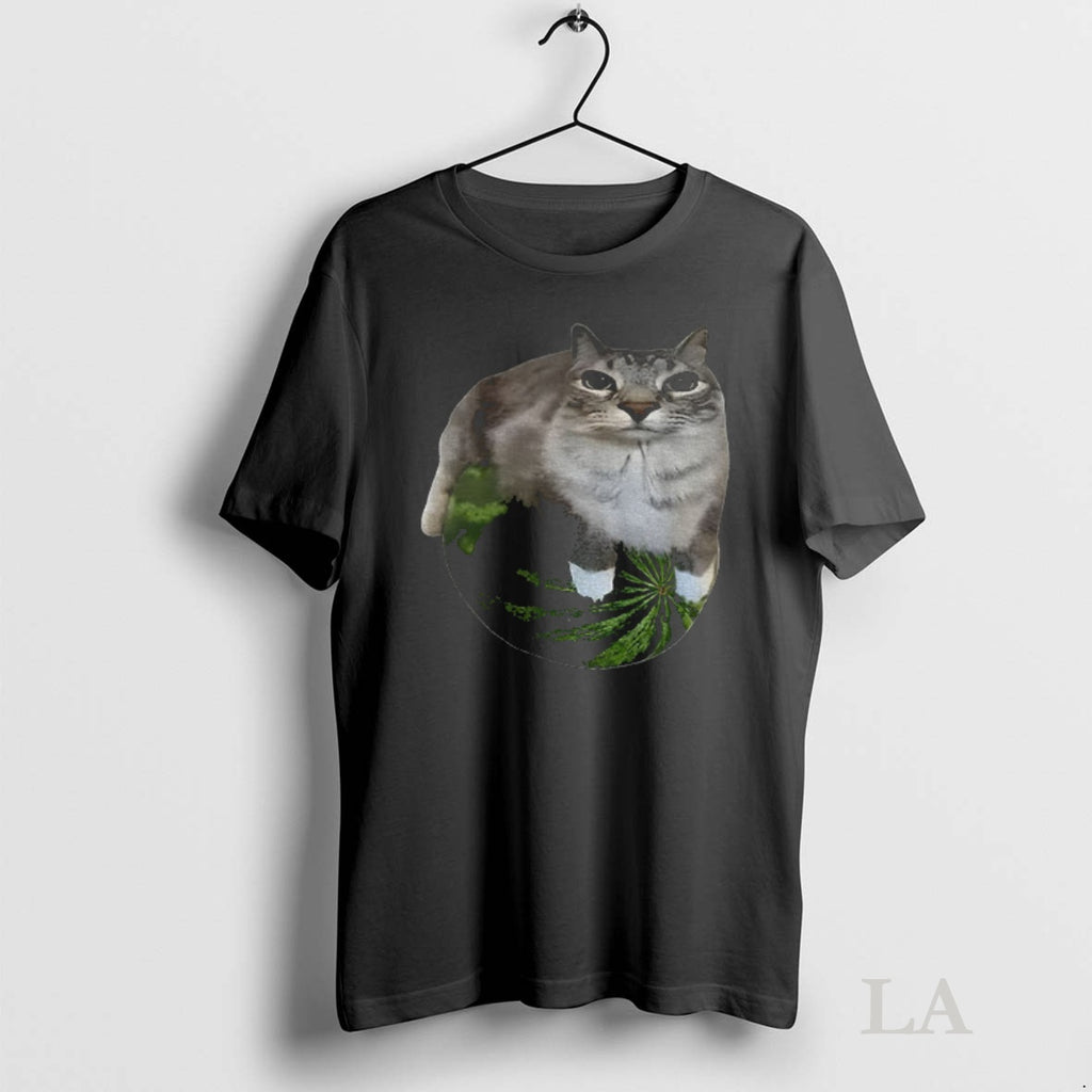 Original Watermelon Cat Funny Shirt Hoodie Sweatshirt | PurePodTees.com
