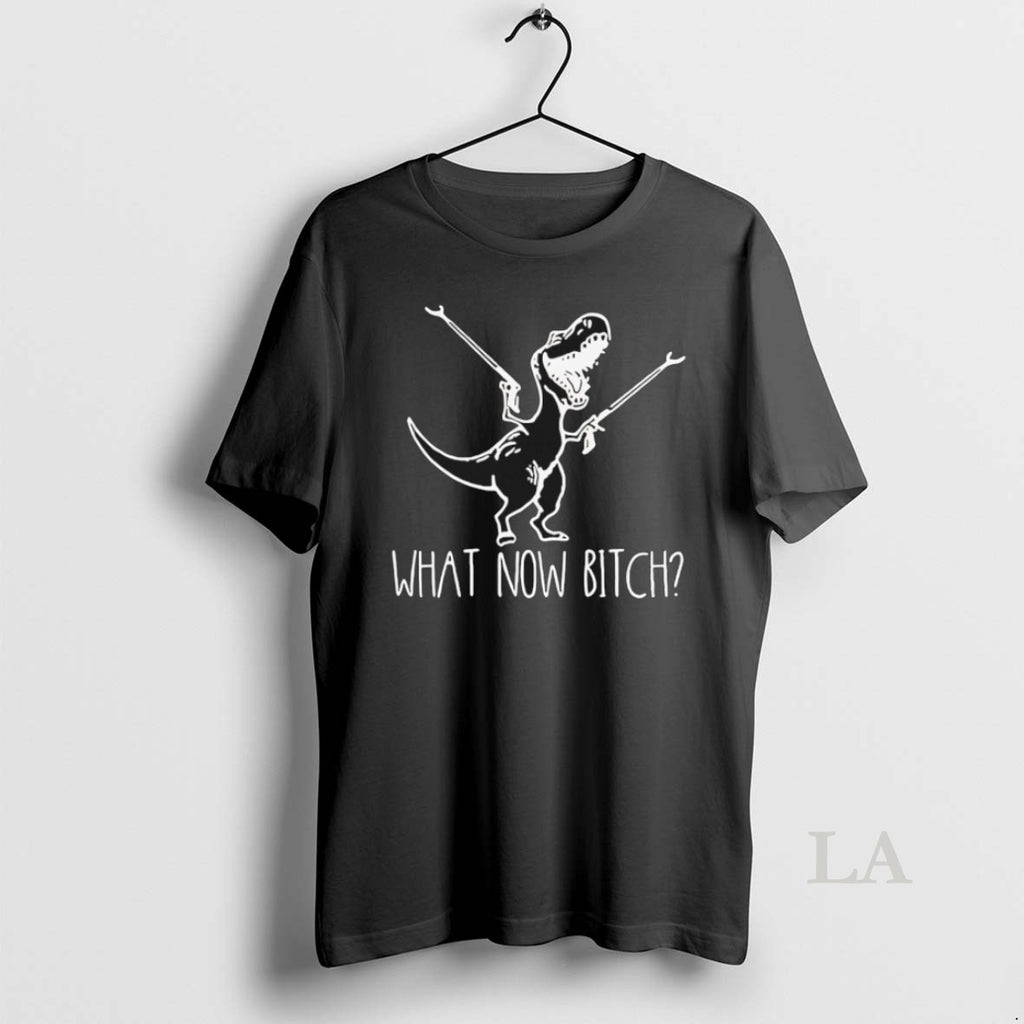 Original What Now Bitch T Rex Shirt Hoodie Sweatshirt | PurePodTees.com