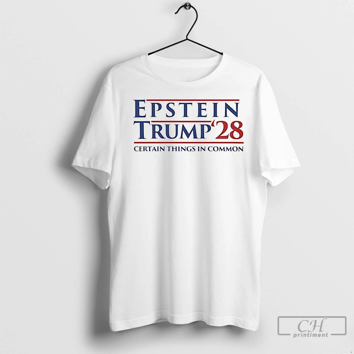 Premium Epstein Trump 2028 Certain Things In Common Shirt Hoodie Sweatshirt | PurePodTees.com