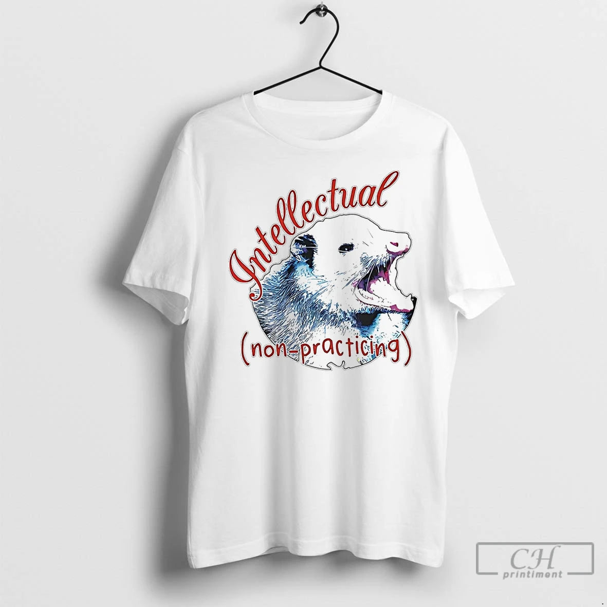 Premium Possum Intellectual Non Practicing Shirt Hoodie Sweatshirt | PurePodTees.com