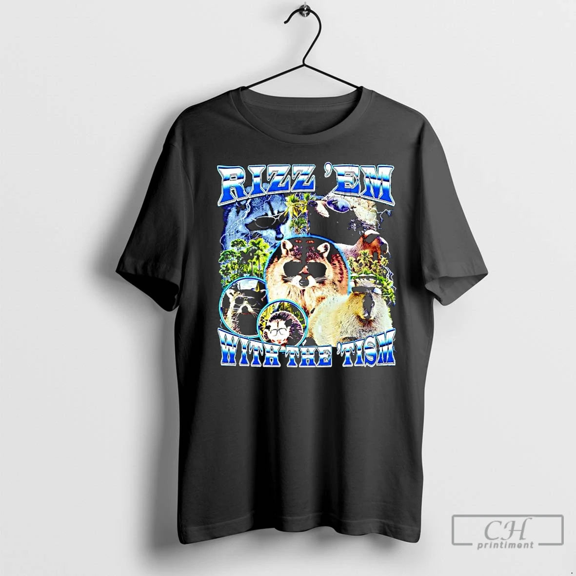 Premium Rizz Em With The Tism Raccoons Capybara Opossum Sunglasses Graphic Shirt Hoodie Sweatshirt | PurePodTees.com