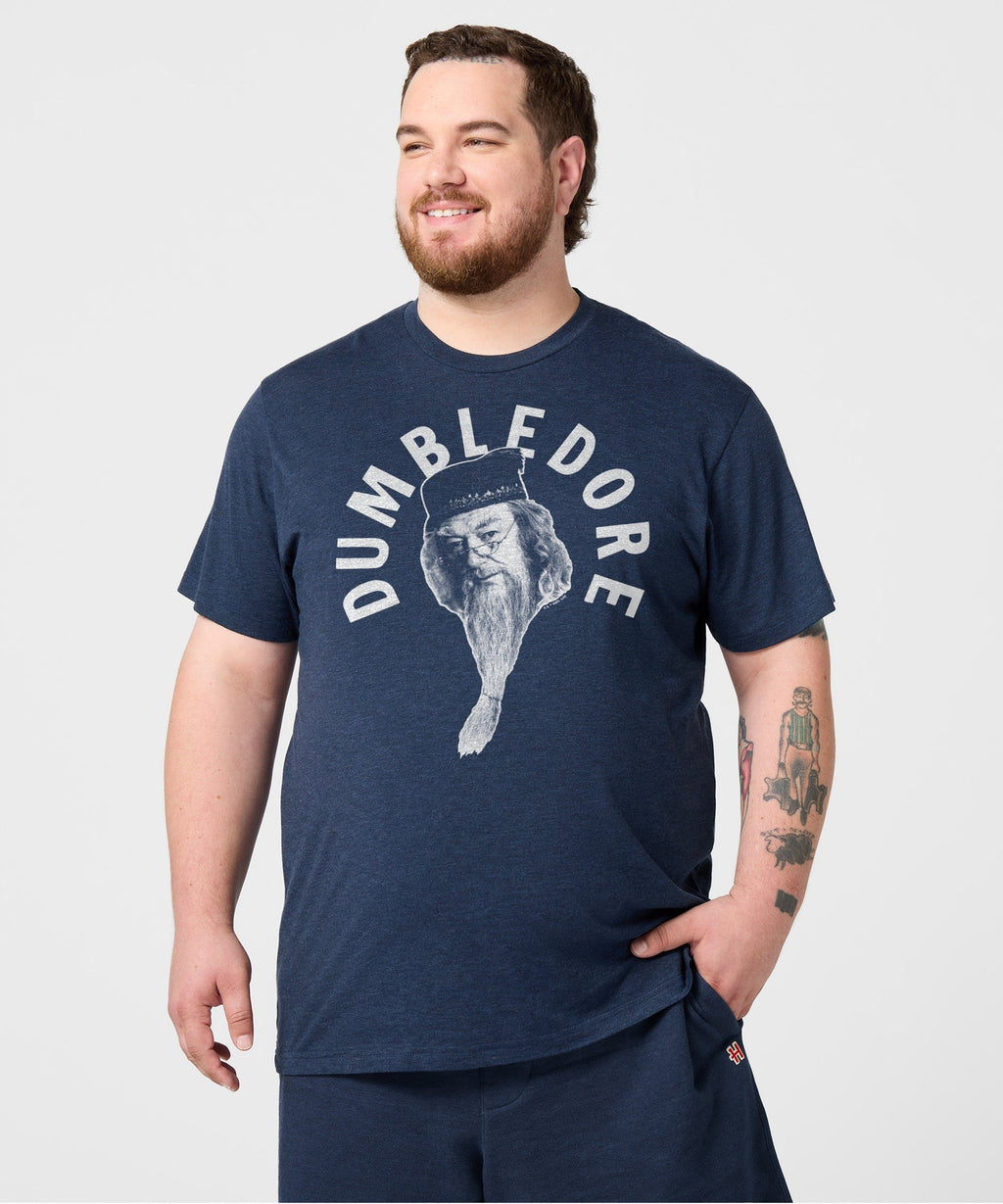 Professor Dumbledore
