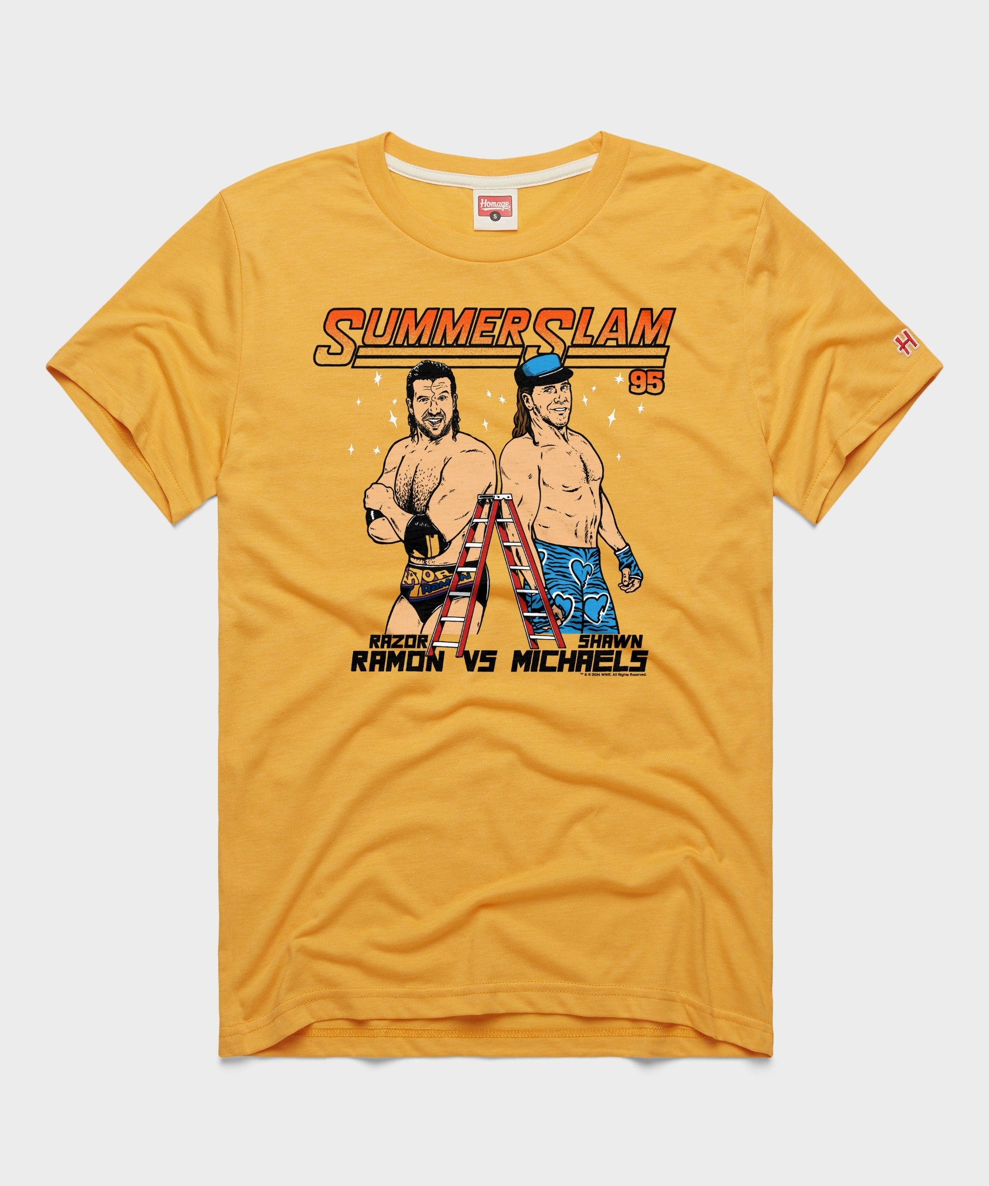 SummerSlam 1995 Ramon Vs Michaels