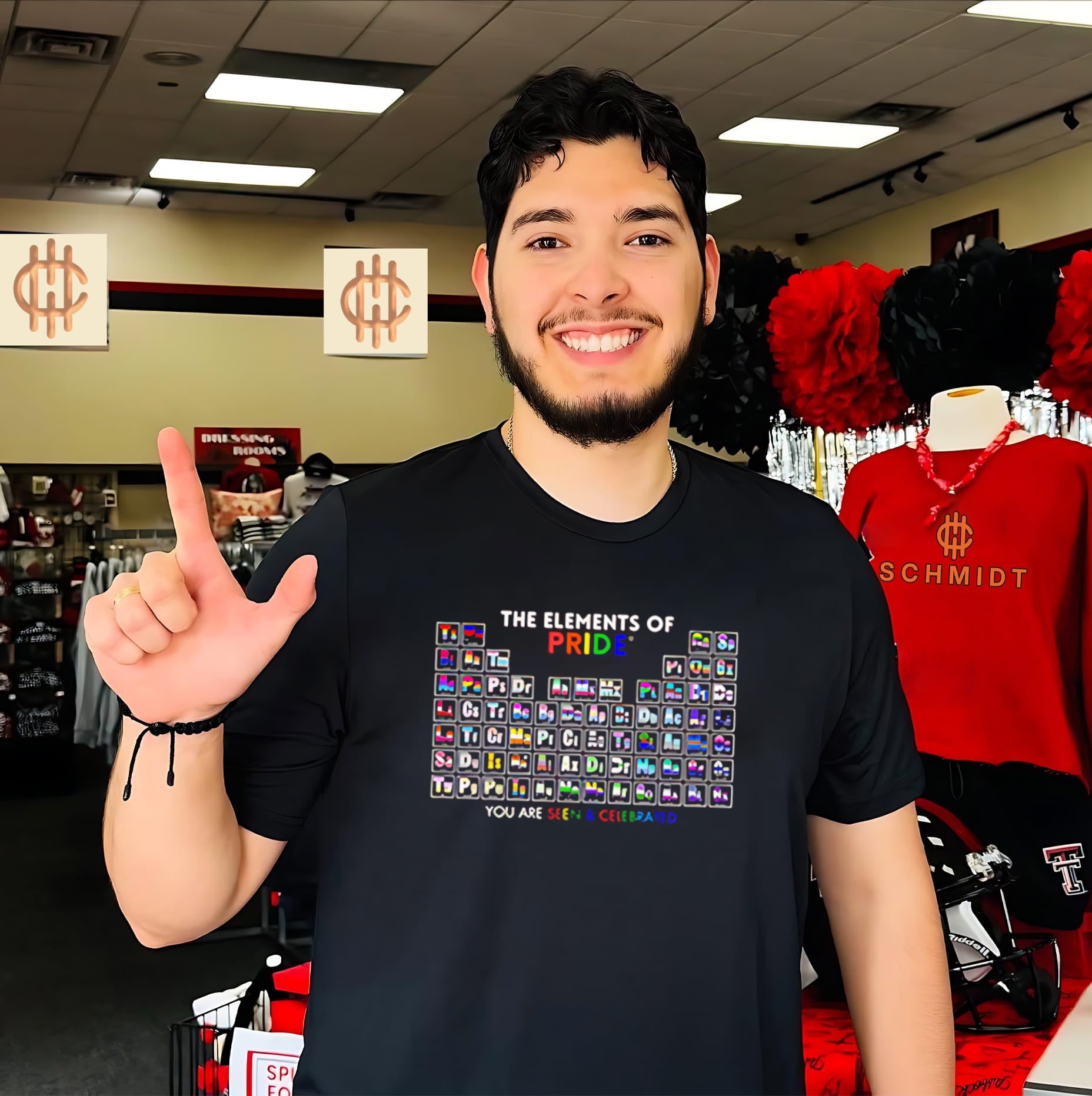 The Elements of Pride You Are Seen and Celebrated shirt