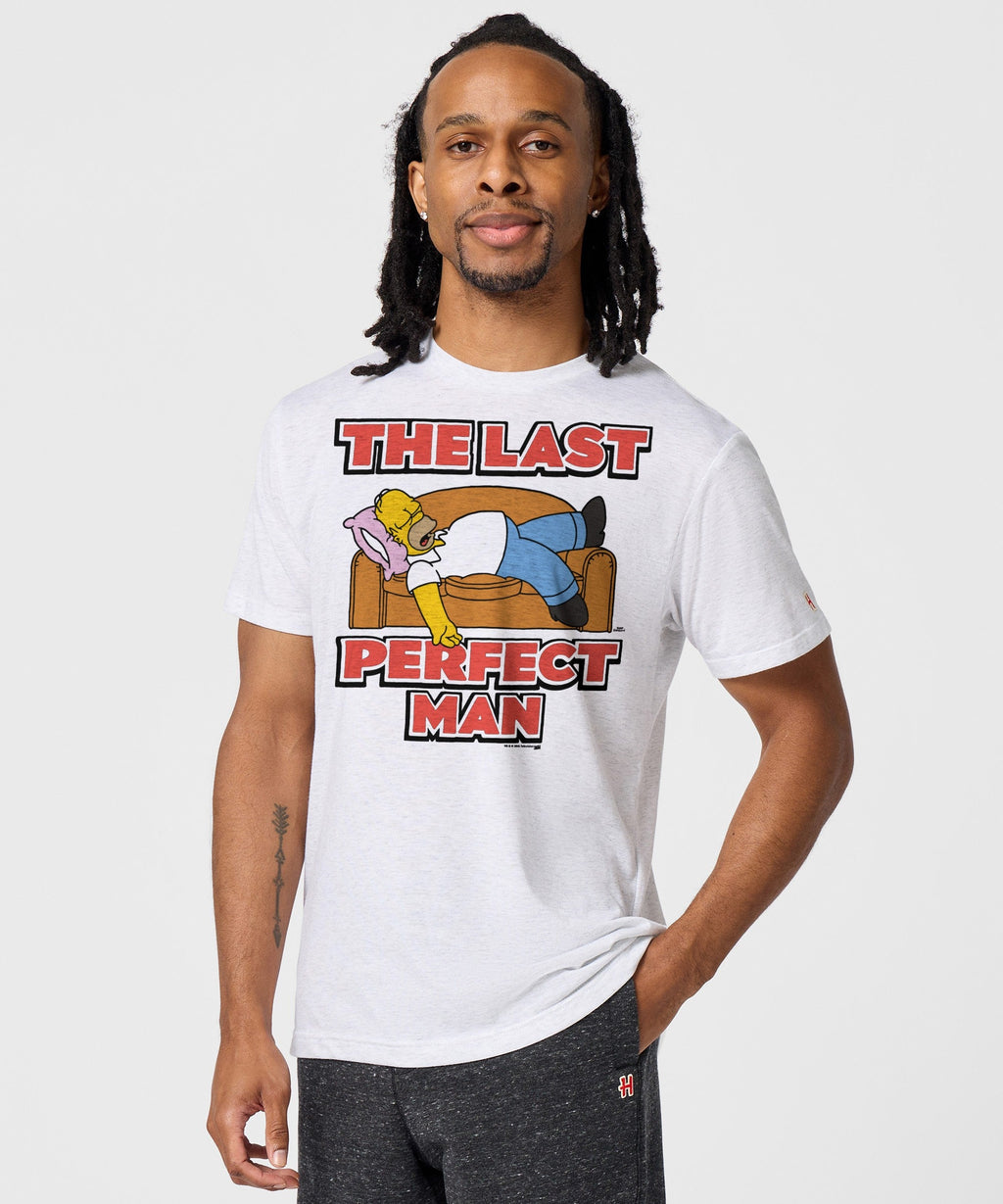 The Simpsons Homer The Last Perfect Man