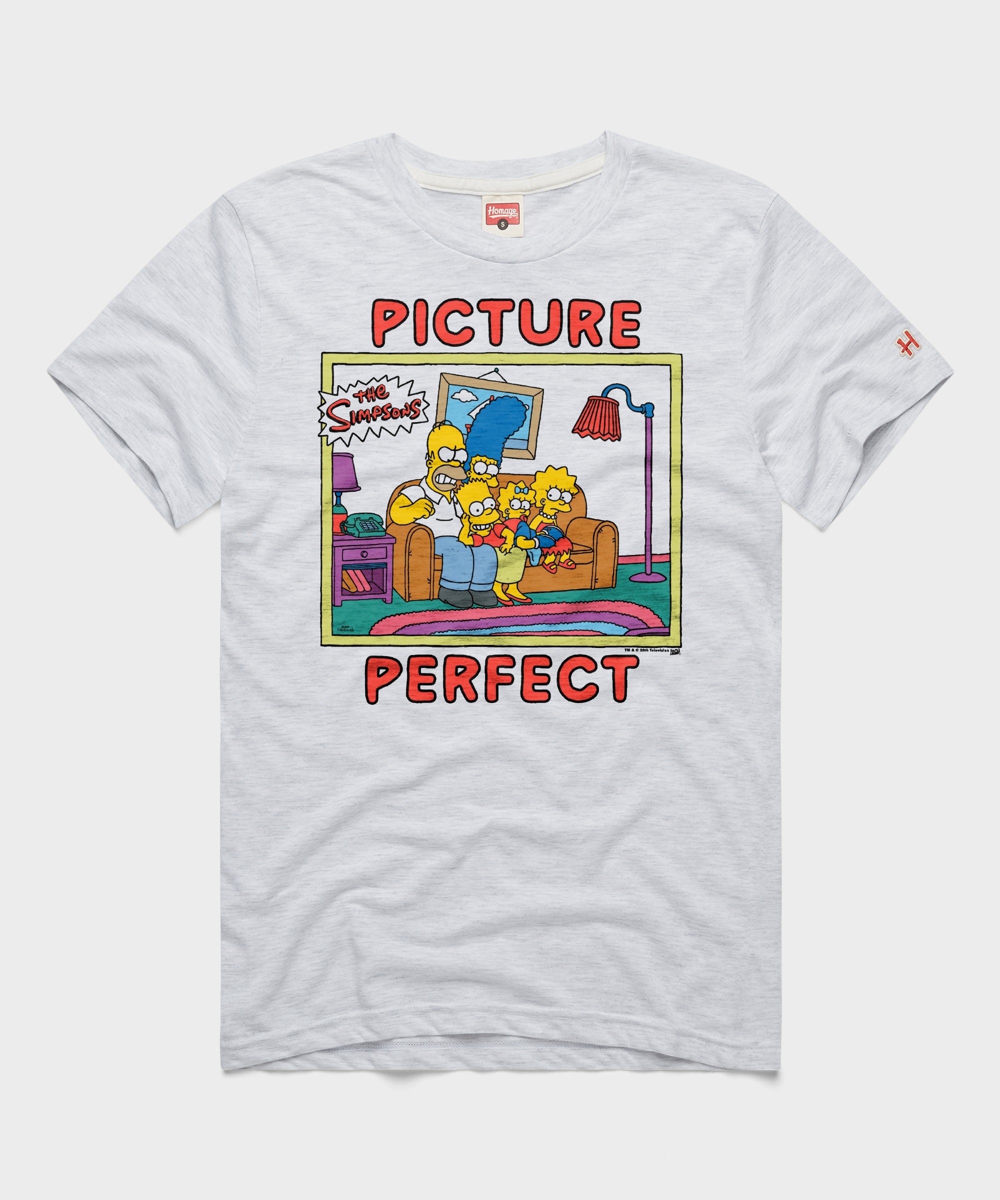 The Simpsons Picture Perfect