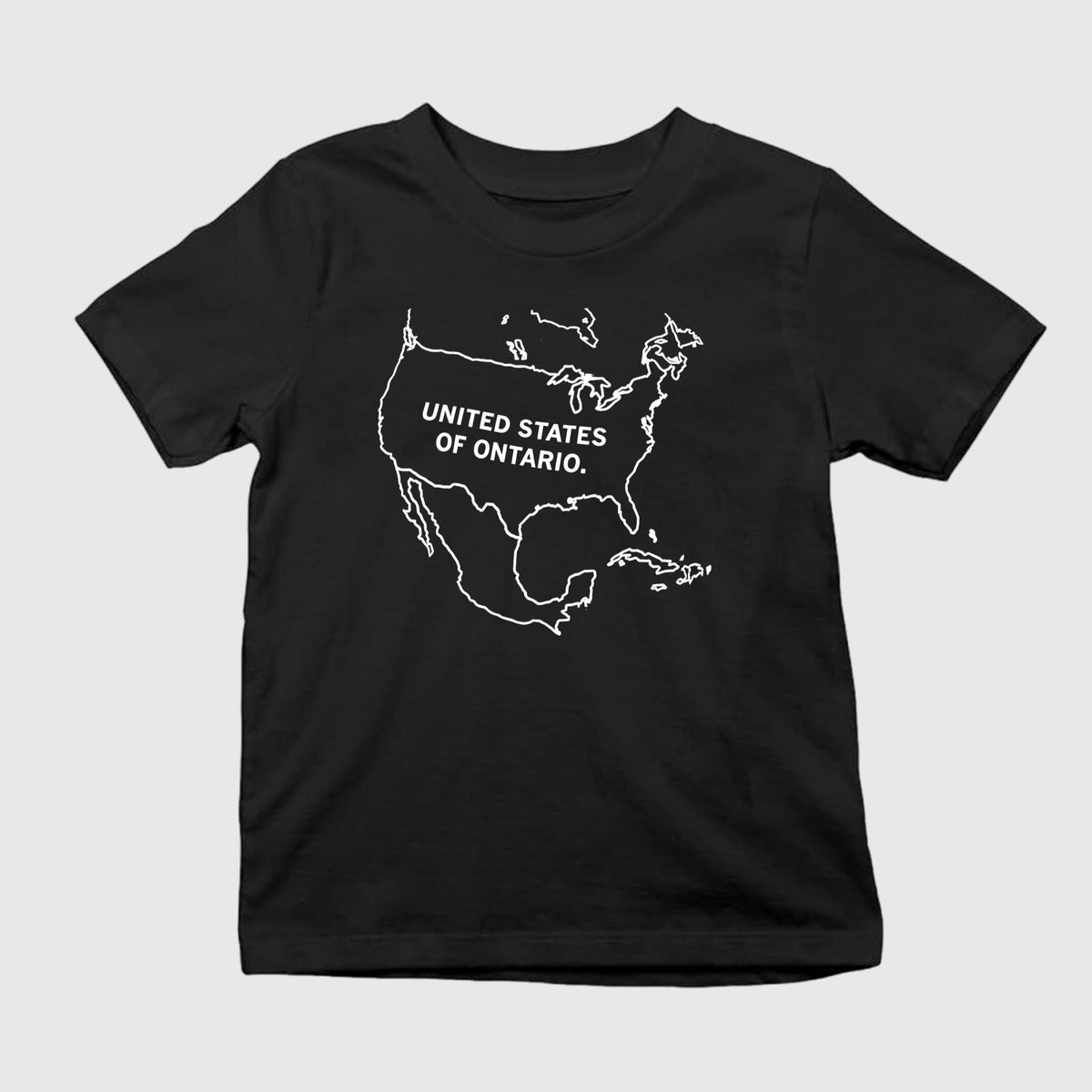 United States Of Ontario T-Shirt