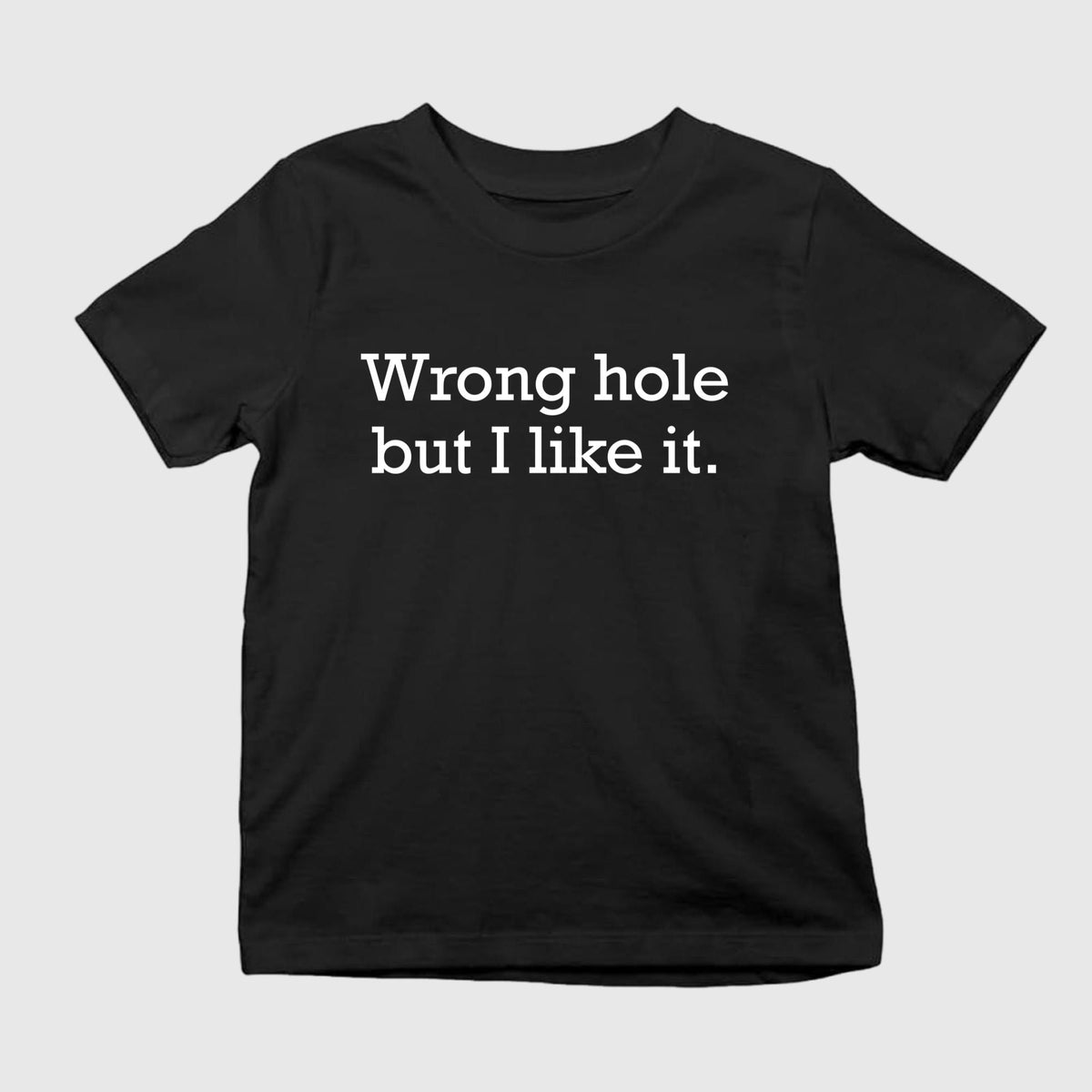 Wrong Hole But I Like It Shirt