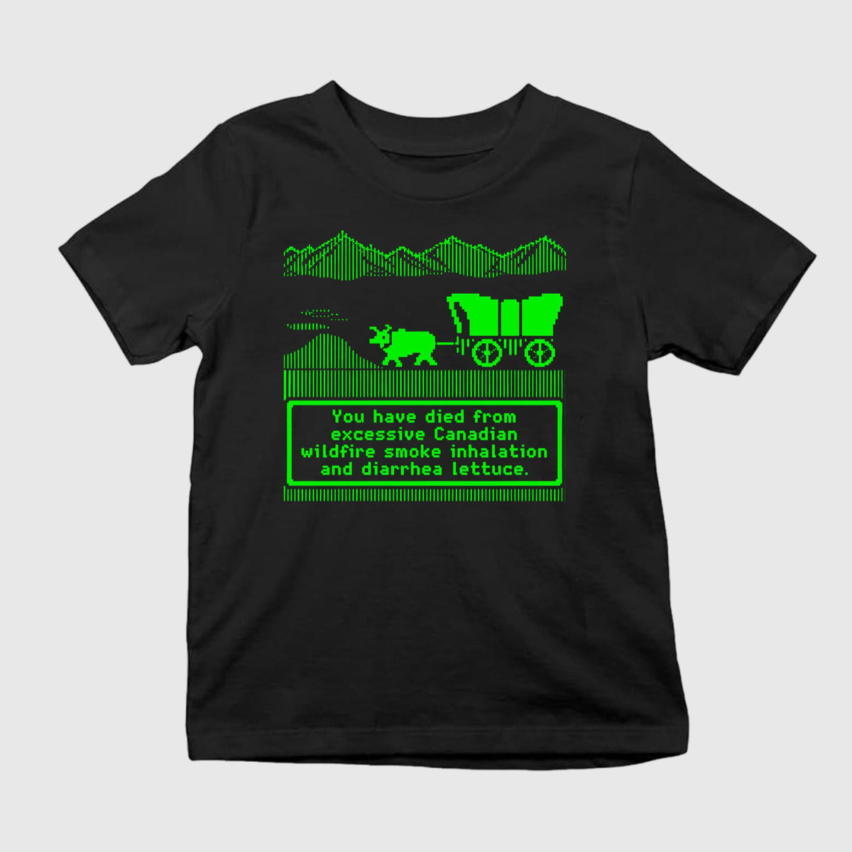 You Have Died From Excessive Canadian Wildfire Smoke Inhalation And Diarrhea Lettuce Shirt