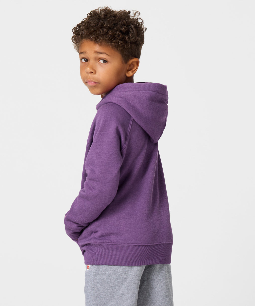 Youth Baltimore Ravens Classic Hoodie