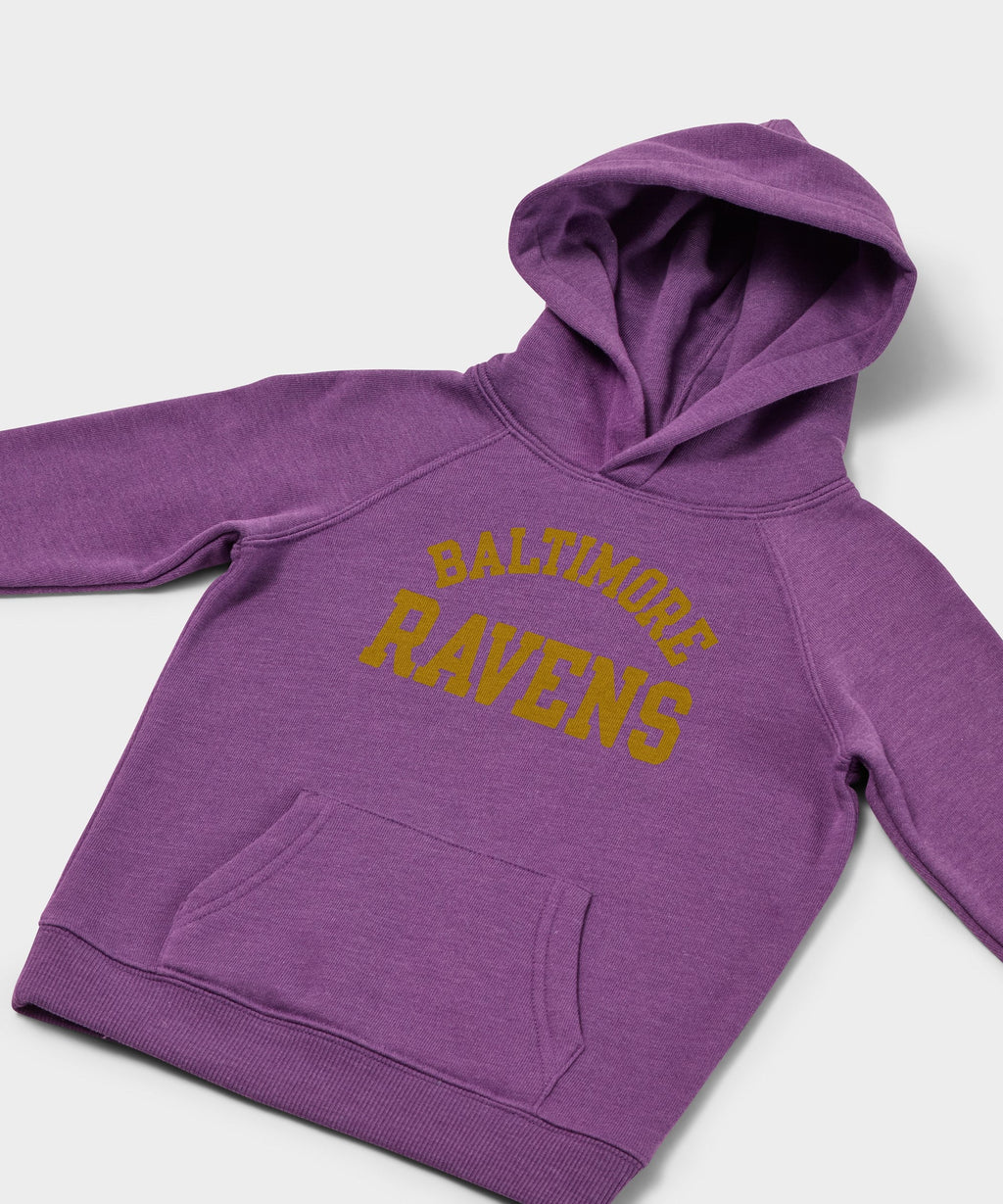Youth Baltimore Ravens Classic Hoodie