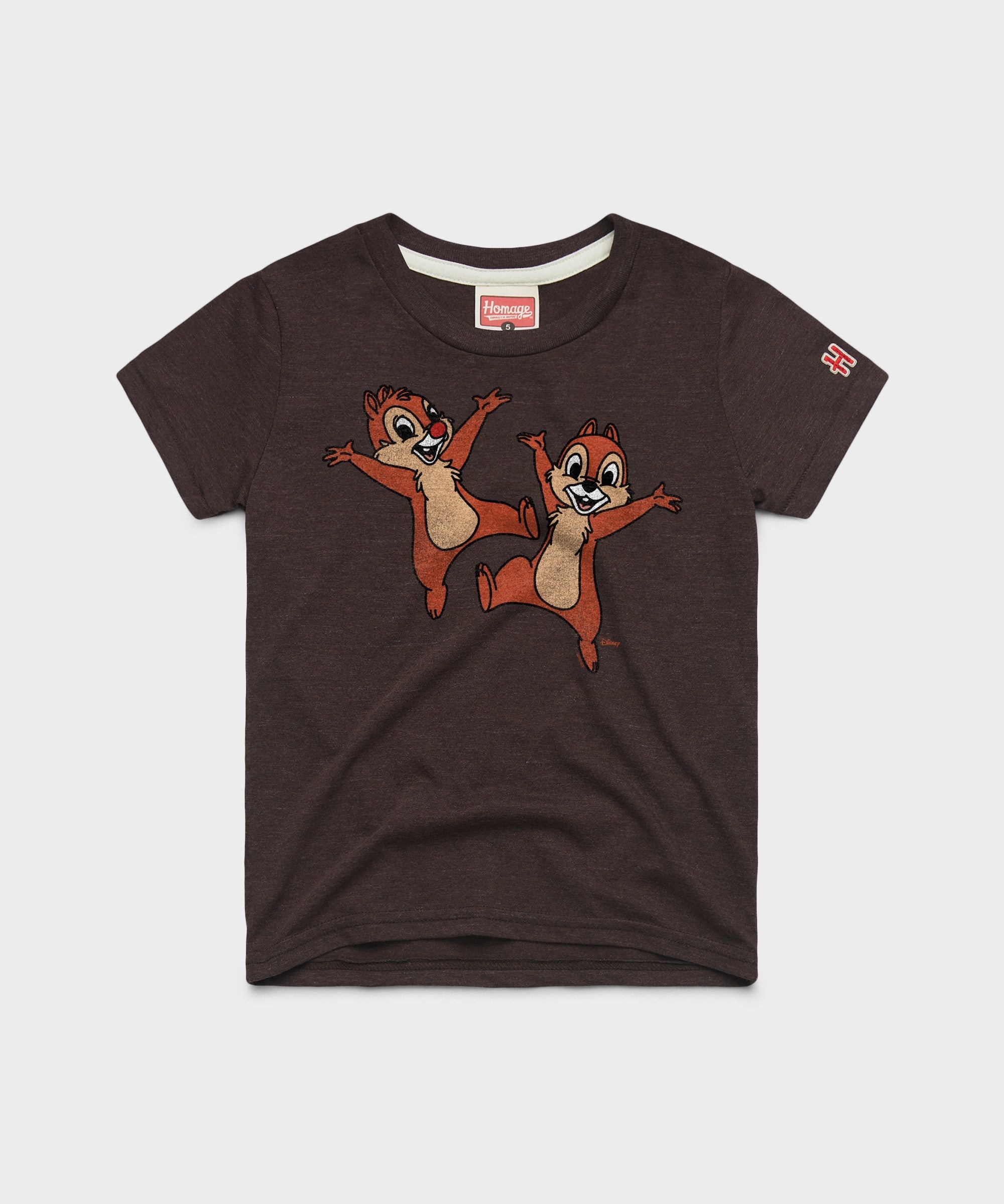 Youth Chip 'n Dale Character