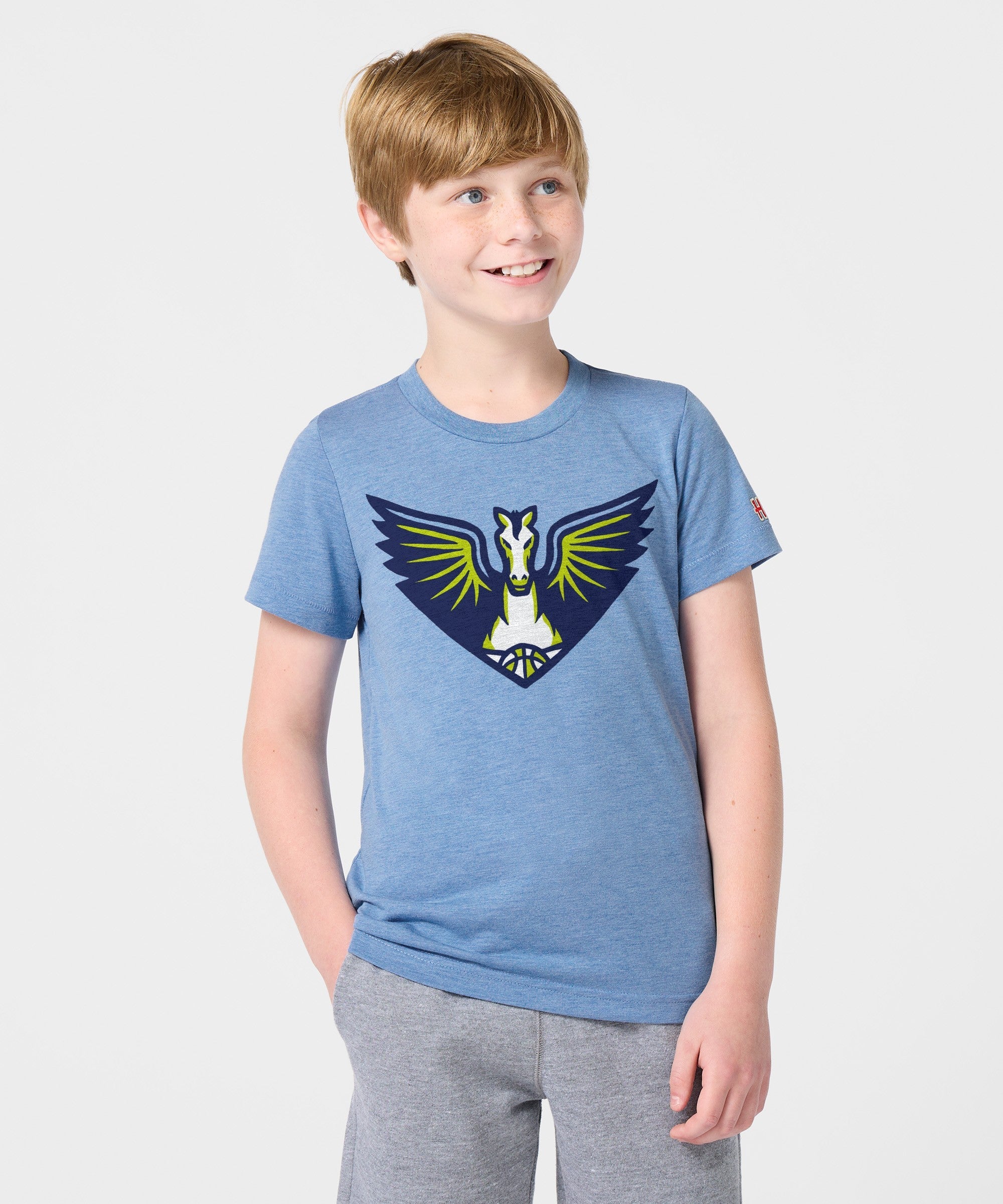 Youth Dallas Wings Logo