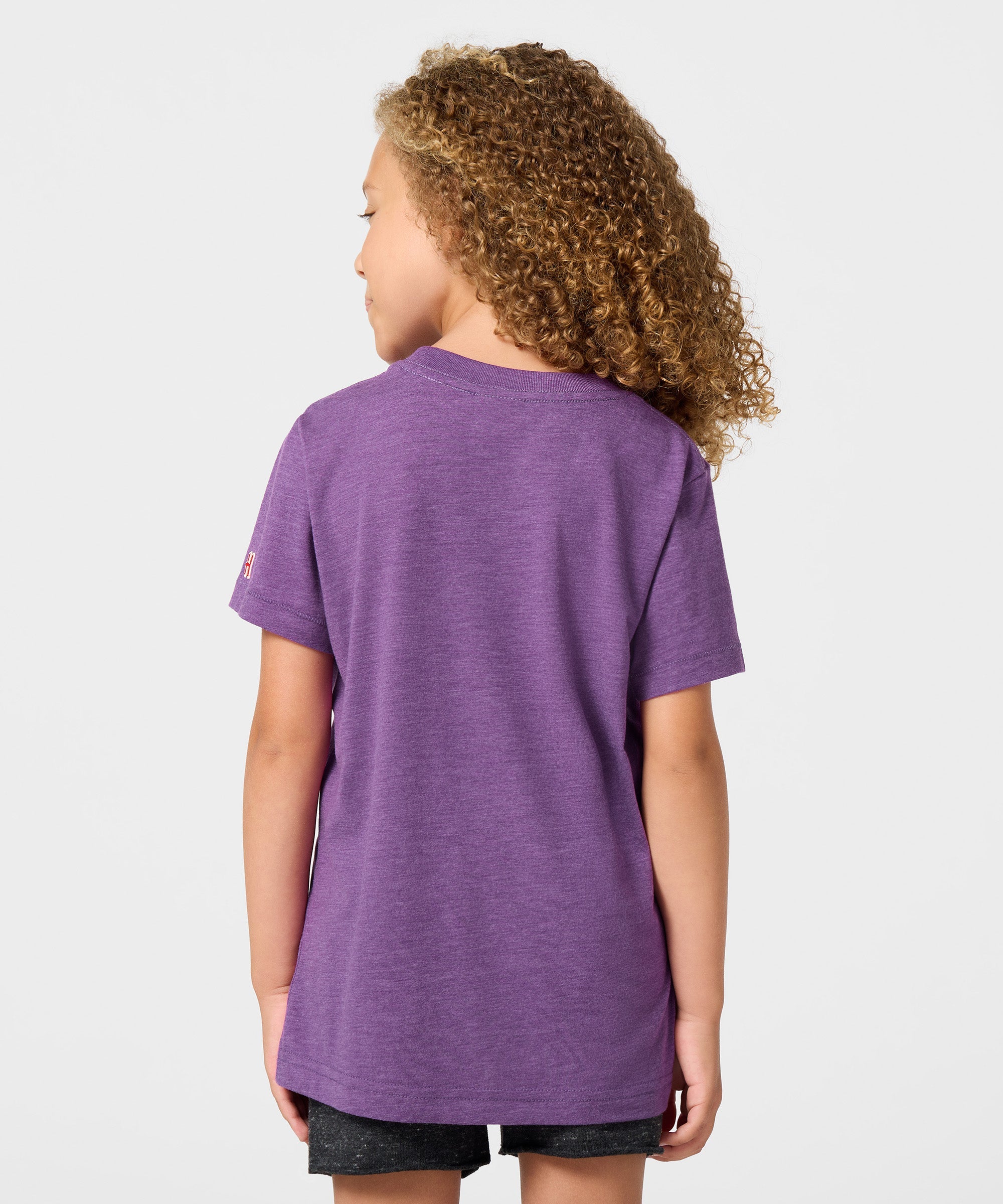 Youth Los Angeles Sparks Logo