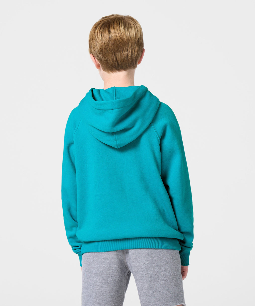 Youth Miami Dolphins Classic Hoodie